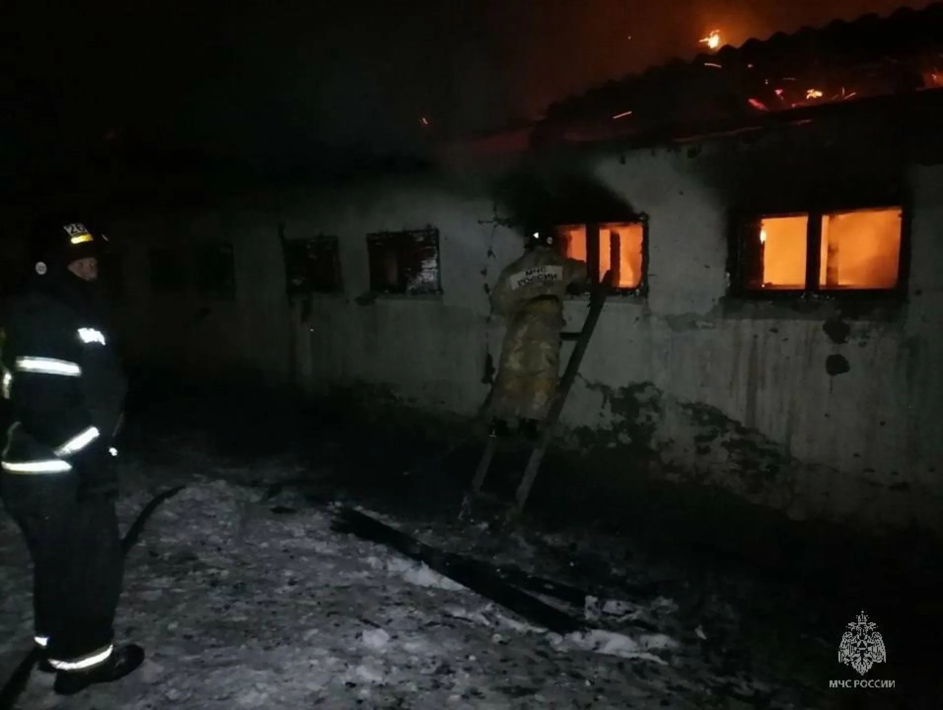 6 лошадей и 17 коров спасли на пожаре в Косихинском районе 6 лошадей и 17 коров спасли на пожаре в Косихинском районе