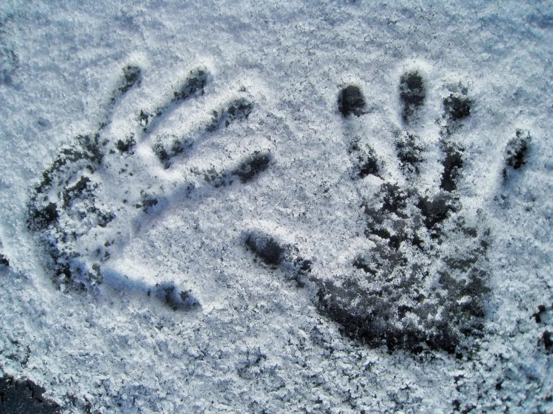 16-летний подросток насмерть замёрз в Заринском районе 16-летний подросток насмерть замёрз в Заринском районе