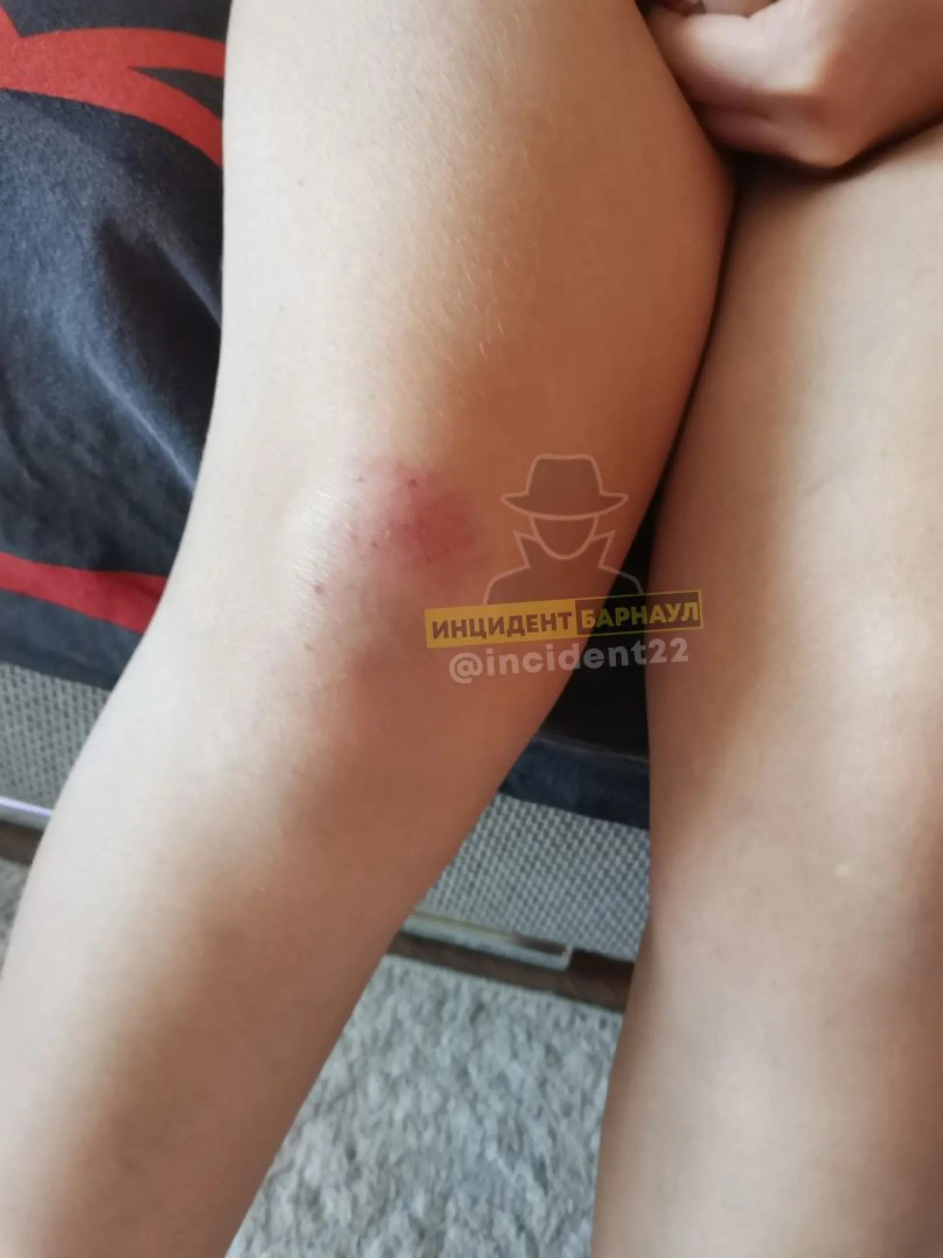 Барнаульцы поплатились за громкую музыку ночью Барнаульцы поплатились за громкую музыку ночью