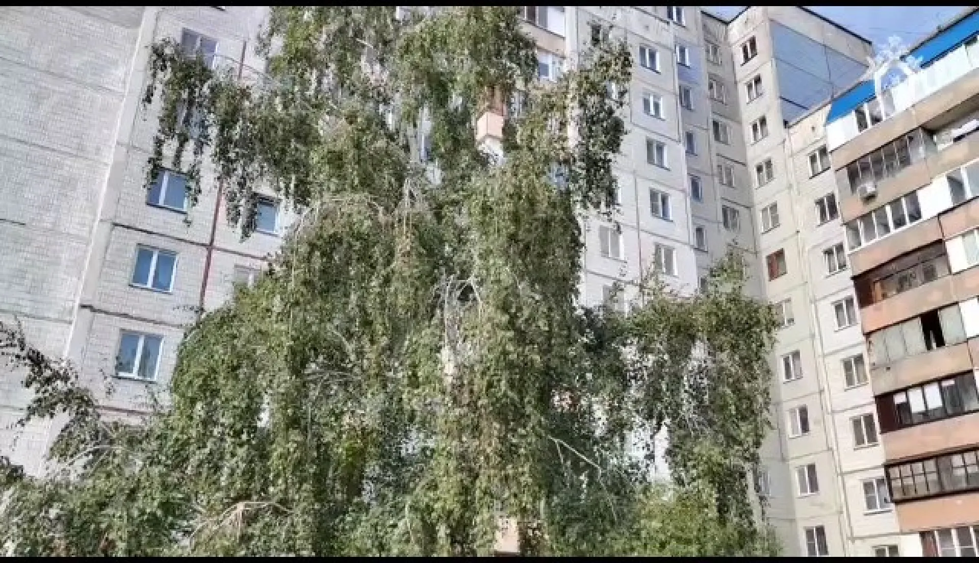 Жительница Барнаула убила своих малолетних детей и покончила с собой Жительница Барнаула убила своих малолетних детей и покончила с собой
