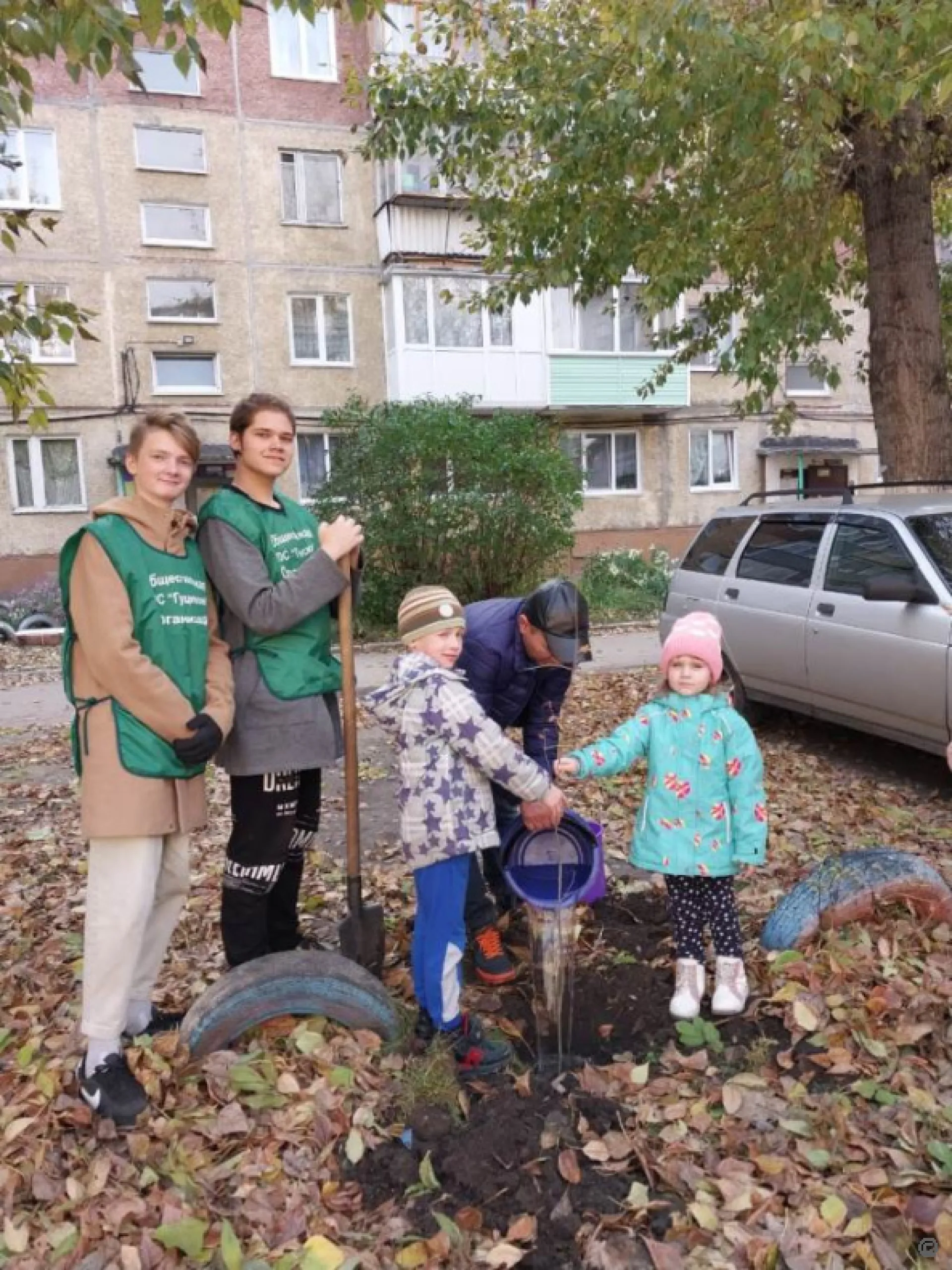 Cаженцы рябины высадили во дворе дома в Барнауле Cаженцы рябины высадили во дворе дома в Барнауле