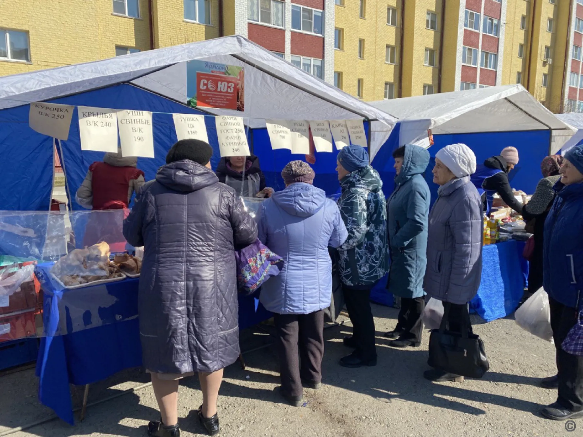 Продовольственные ярмарки проведут в Барнауле Продовольственные ярмарки проведут в Барнауле