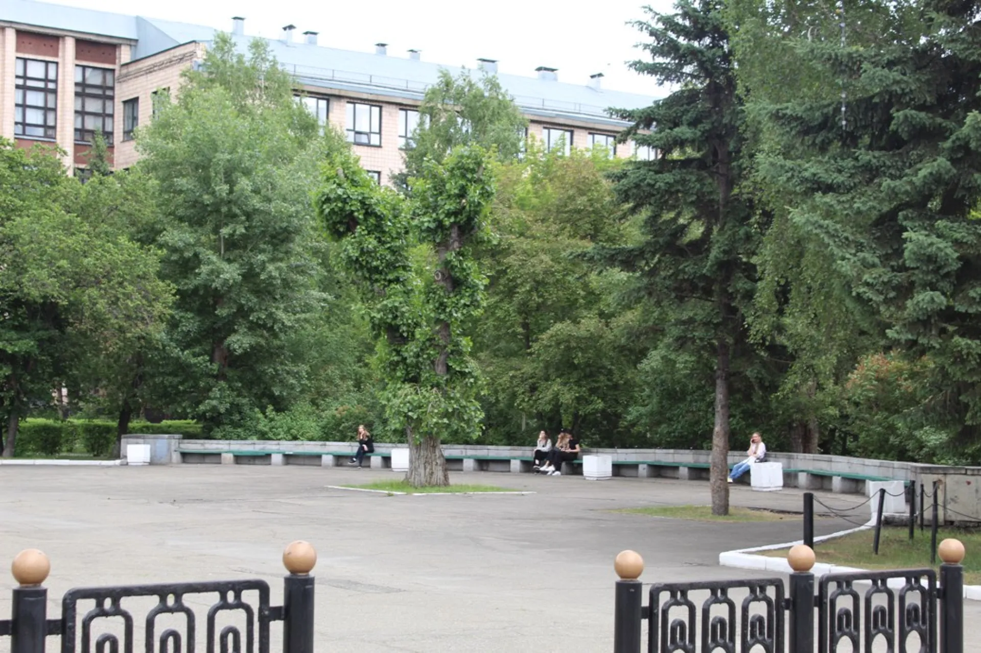 Барнаул попал в топ самых зелёных городов России