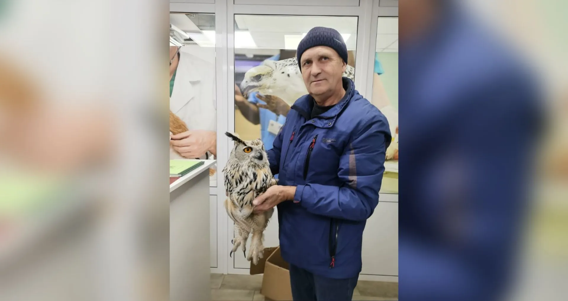 Краснокнижного филина спасли в Алтайском крае Краснокнижного филина спасли в Алтайском крае