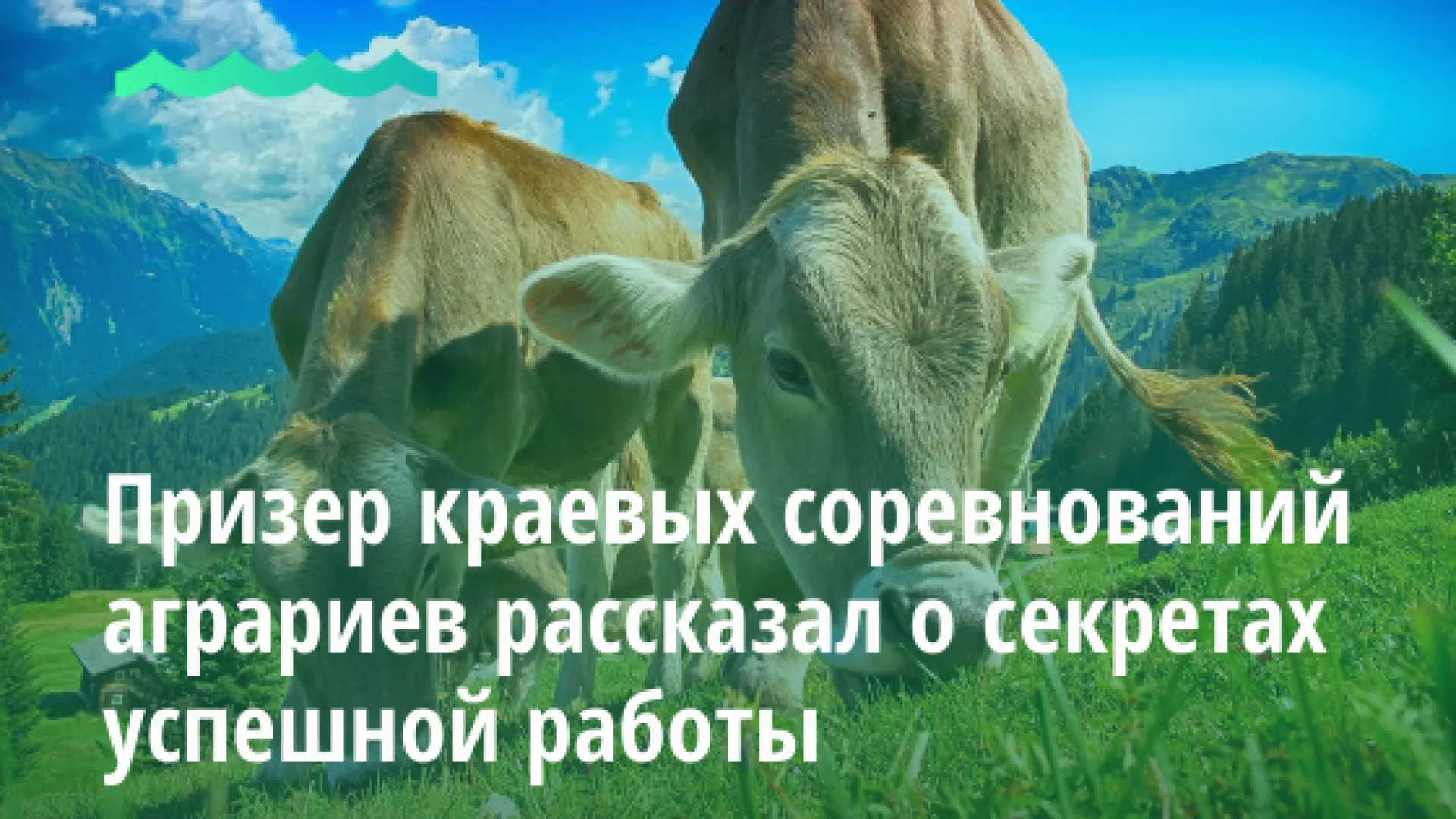 Призер краевых соревнований аграриев рассказал о секретах успешной работы Призер краевых соревнований аграриев рассказал о секретах успешной работы
