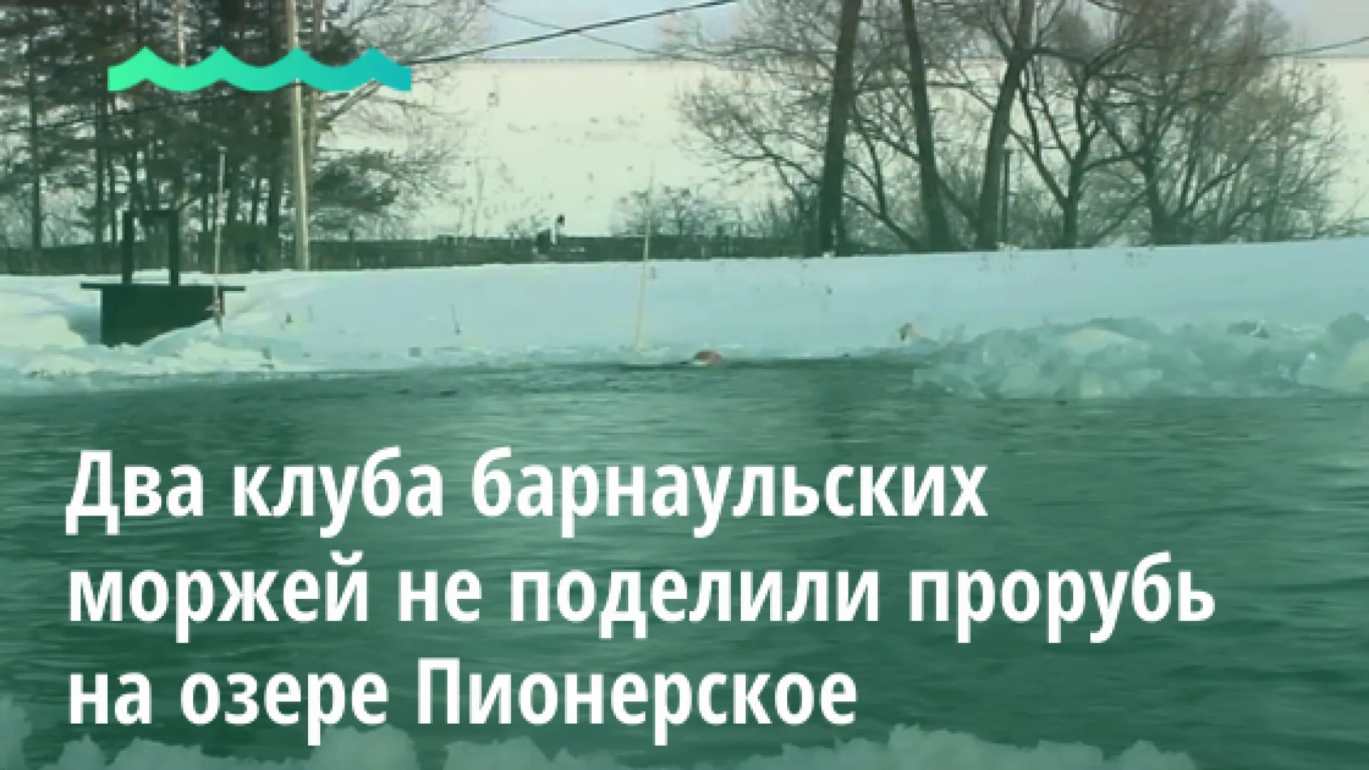 Стало известно, из-за чего два клуба барнаульских моржей не поделили прорубь на озере Пионерском Стало известно, из-за чего два клуба барнаульских моржей не поделили прорубь на озере Пионерском