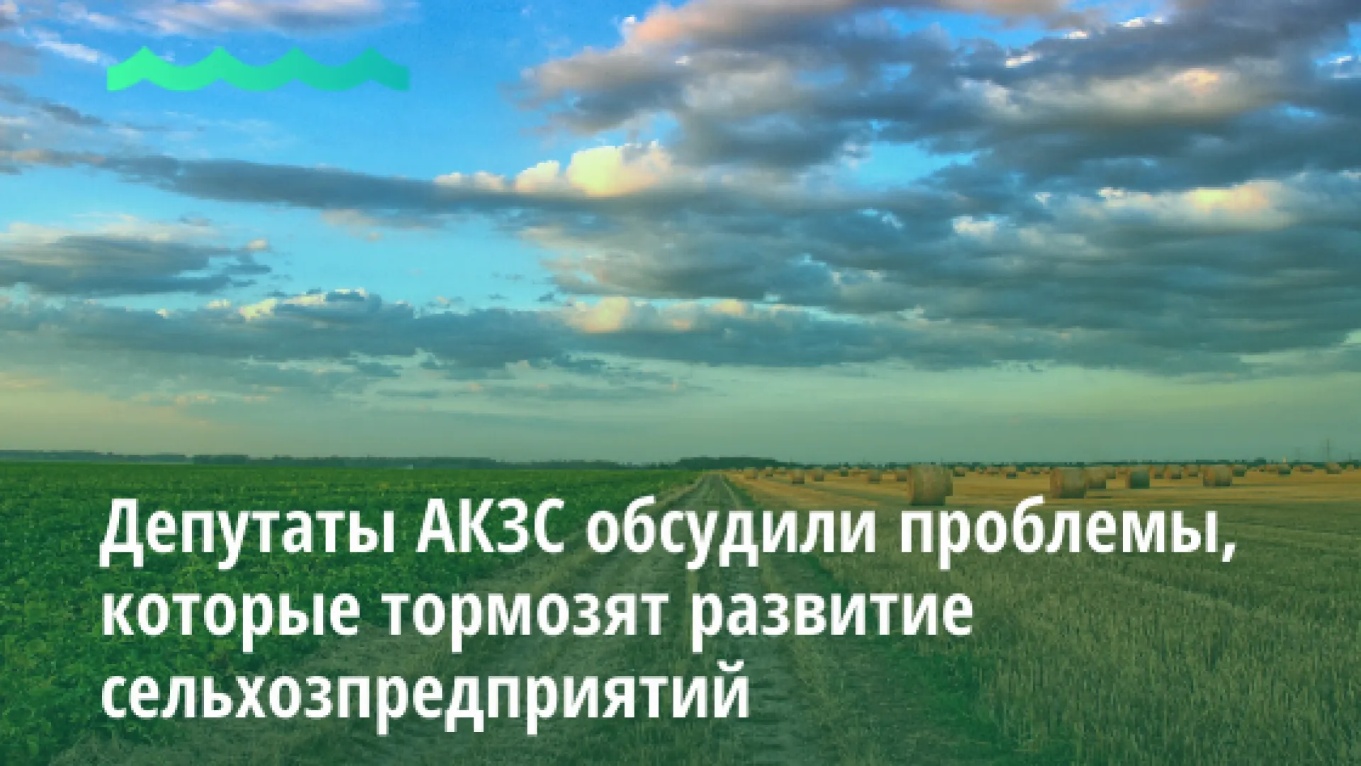 Депутаты АКЗС обсудили проблемы, которые тормозят развитие сельхозпредприятий Депутаты АКЗС обсудили проблемы, которые тормозят развитие сельхозпредприятий