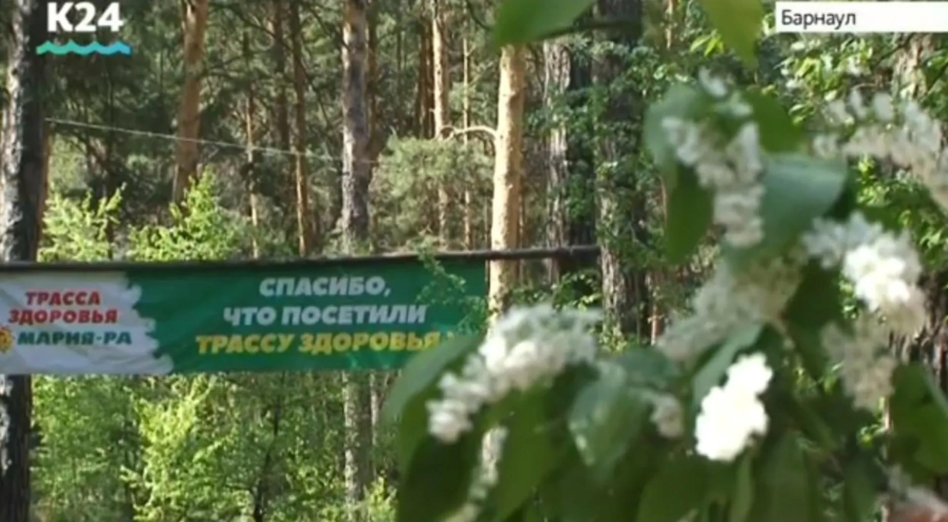 День ходьбы пройдёт на барнаульской «Трассе здоровья» День ходьбы пройдёт на барнаульской «Трассе здоровья»