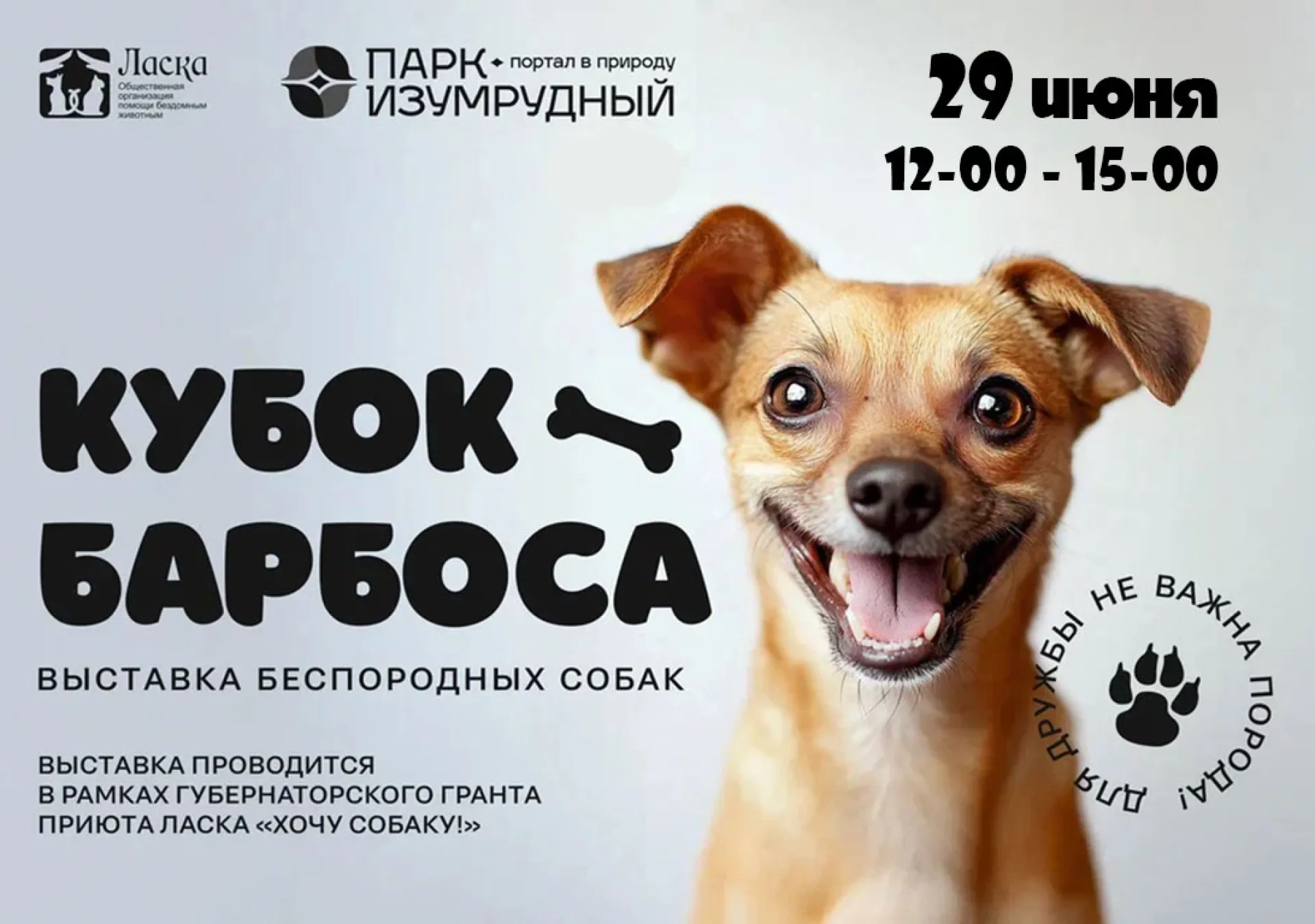 Беспородных собак покажут на ринге в парке «Изумрудный» 