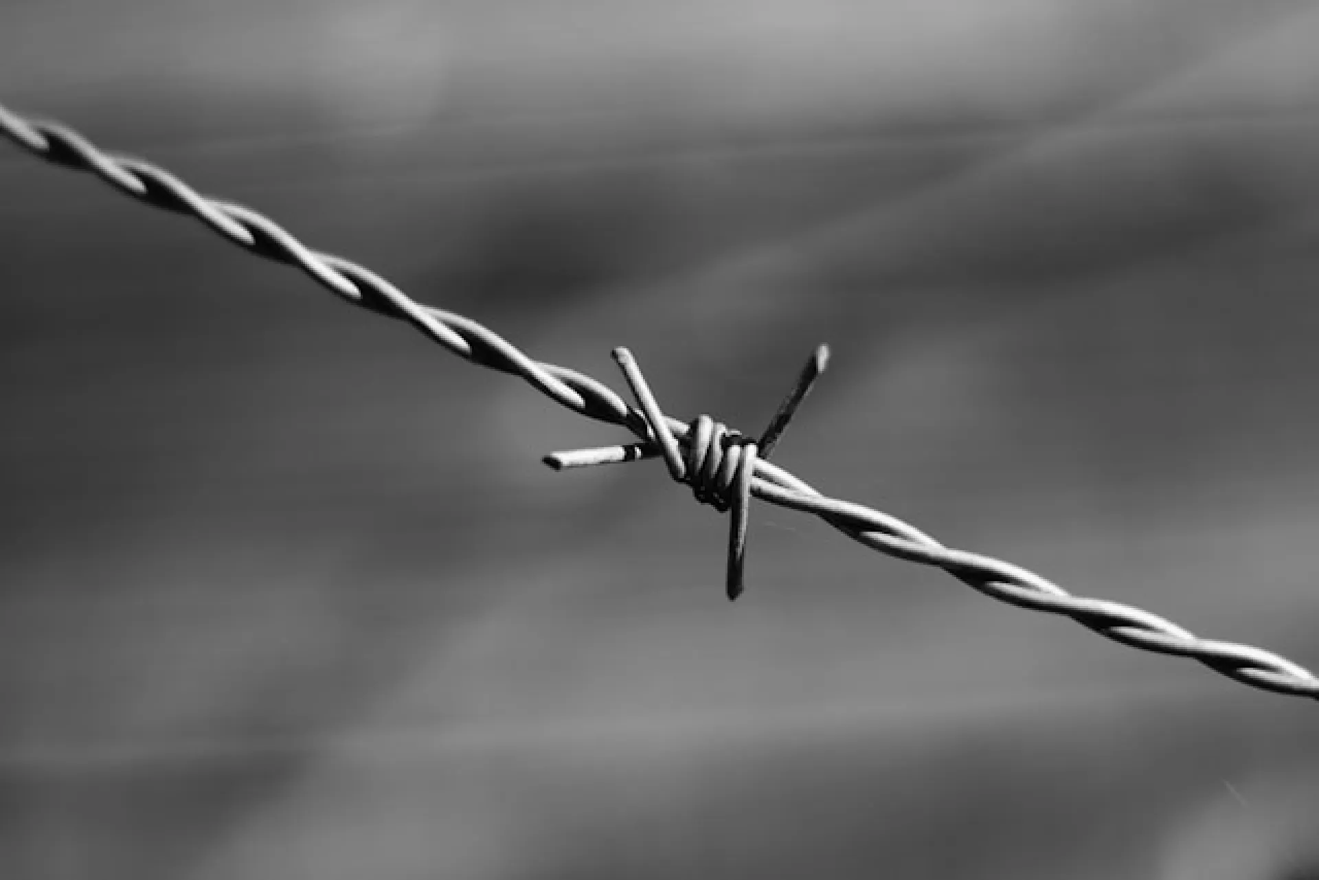 ОПГ, занимавшуюся вымогательством в Алтайском крае, отправят под суд ОПГ, занимавшуюся вымогательством в Алтайском крае, отправят под суд