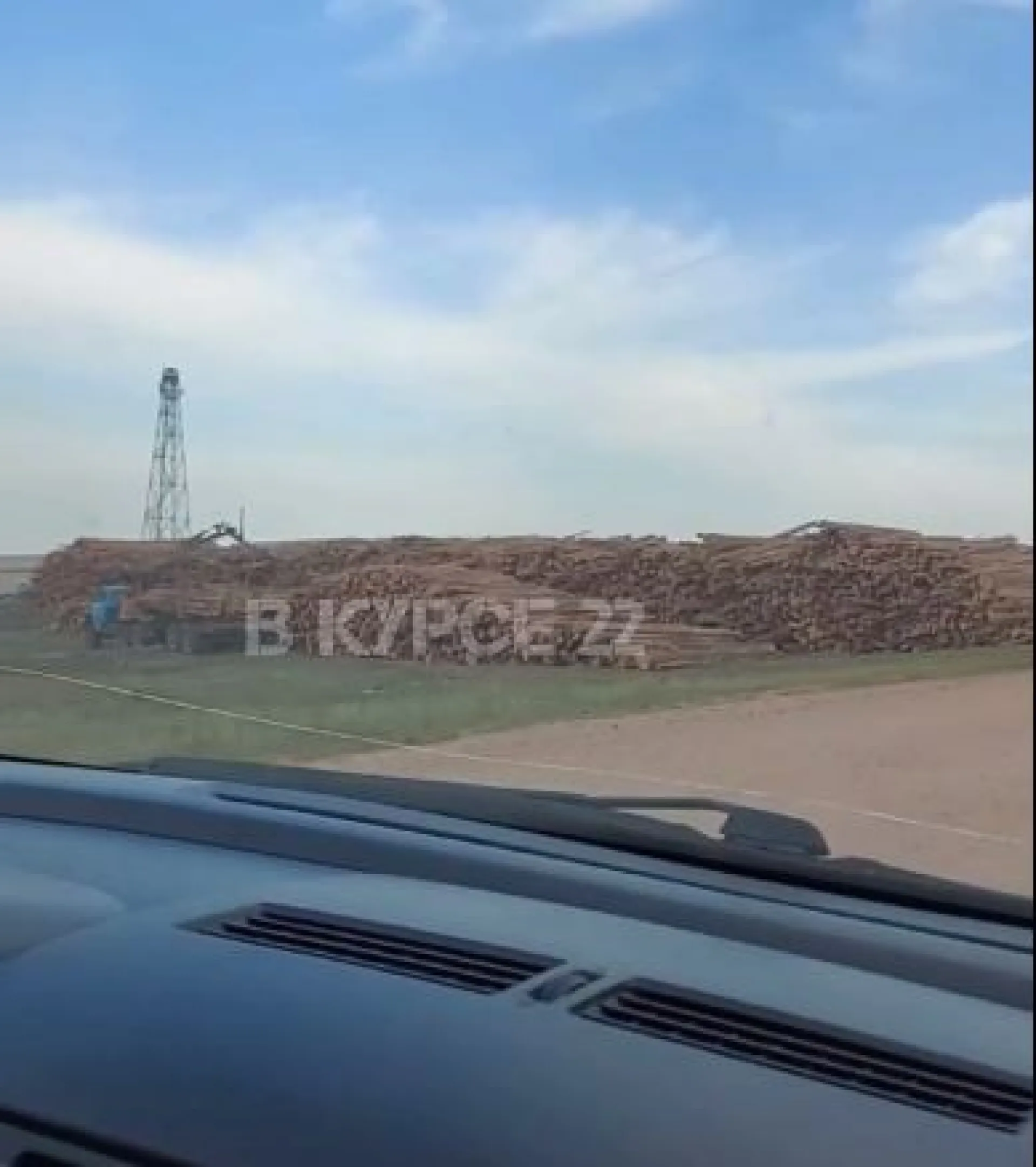 Жители Алтайского края обеспокоены массовой вырубкой леса Жители Алтайского края обеспокоены массовой вырубкой леса
