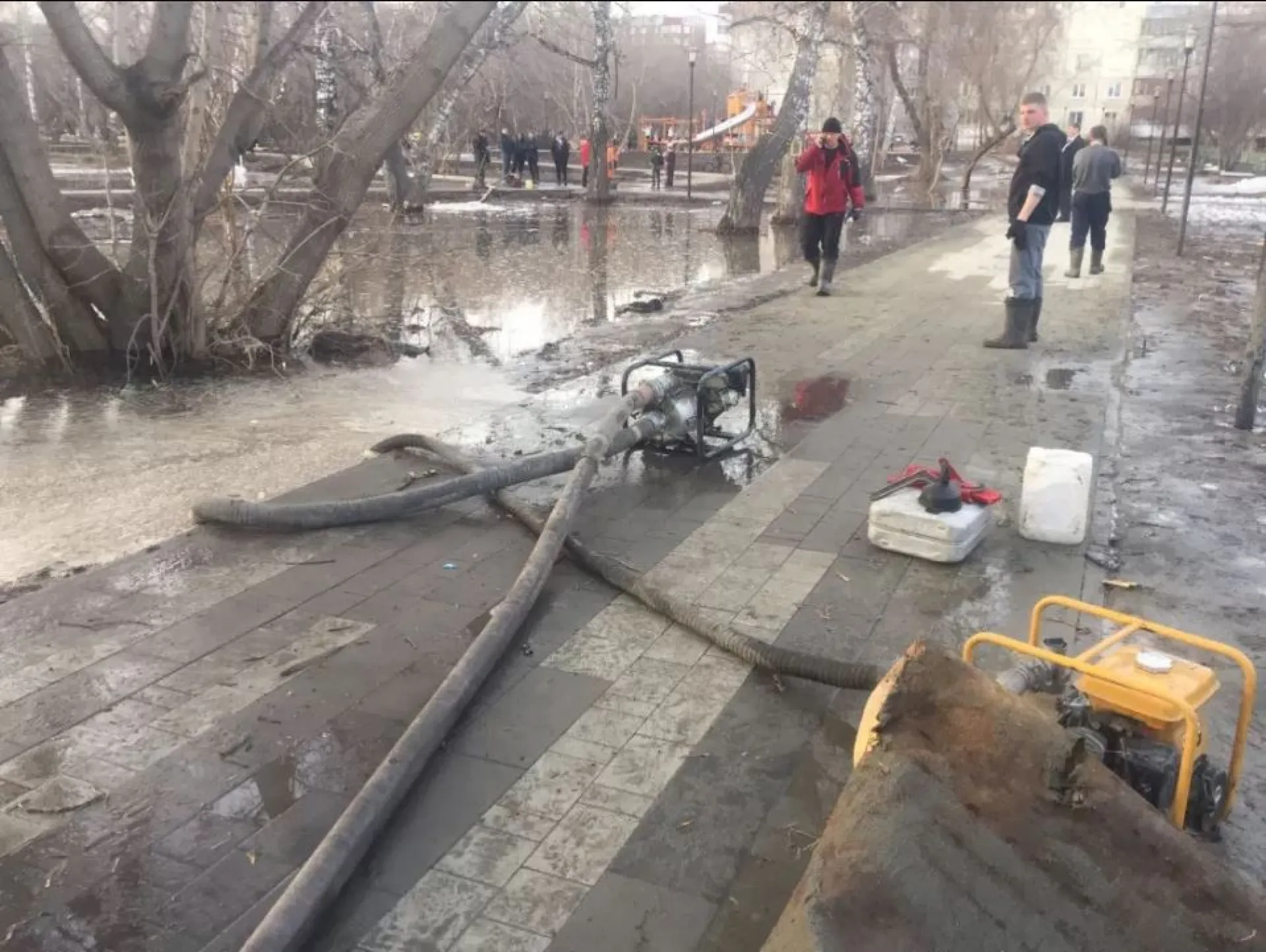 В Барнауле территорию Мизюлинской рощи подтопило В Барнауле территорию Мизюлинской рощи подтопило