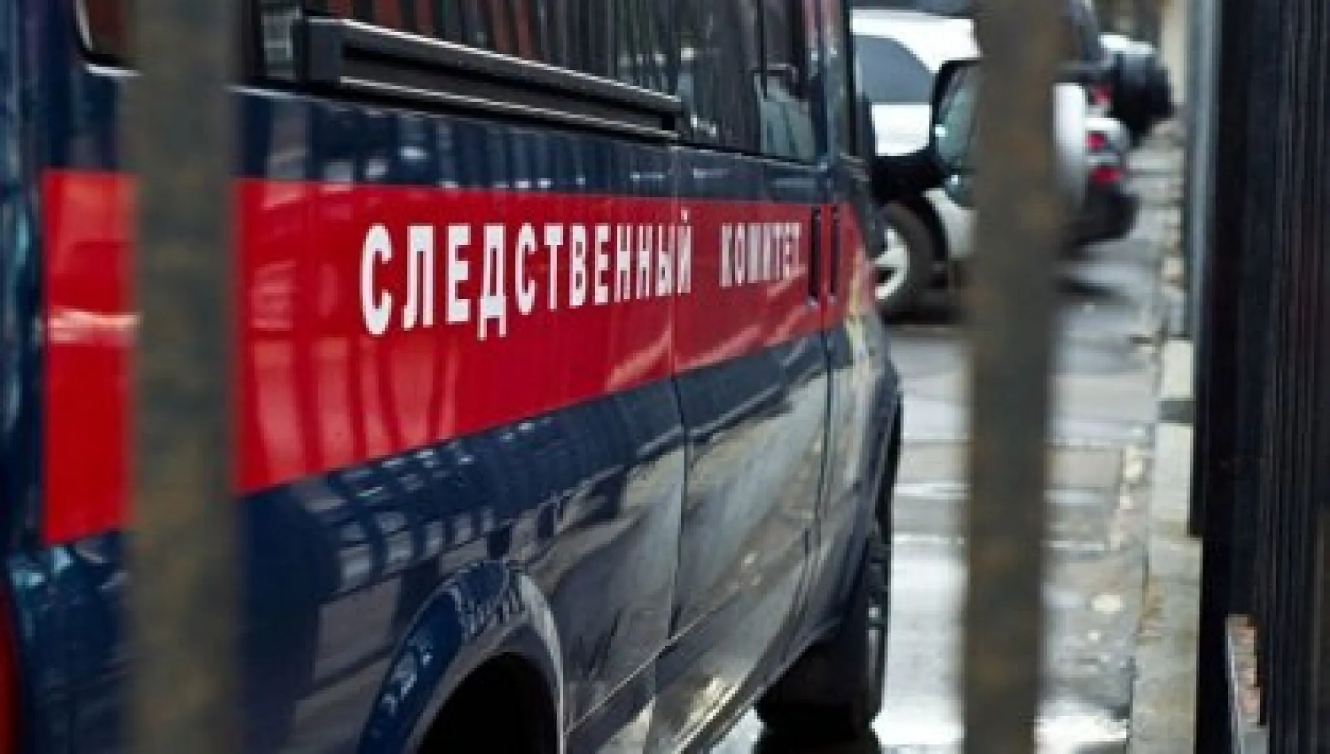 Следственный комитет начал проверку по факту нападения бездомной собаки на ребёнка в Барнауле Следственный комитет начал проверку по факту нападения бездомной собаки на ребёнка в Барнауле