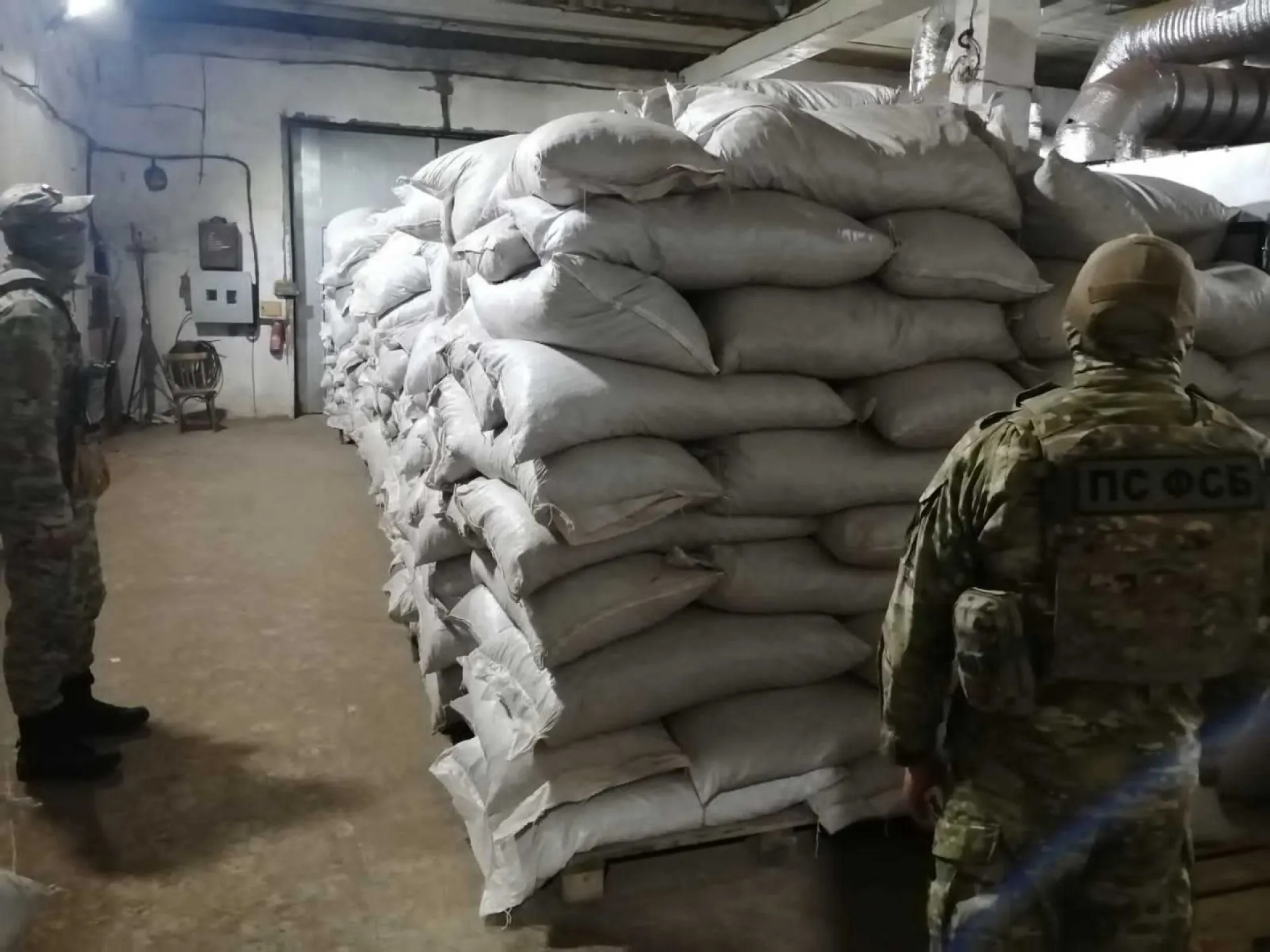 Бийчанин заготовил 8 тонн краснокнижного растения Бийчанин заготовил 8 тонн краснокнижного растения