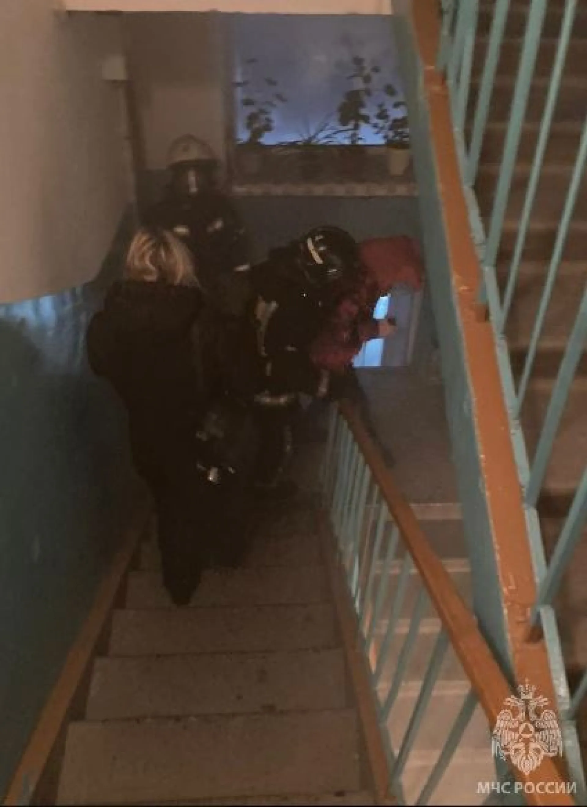 Восемь человек эвакуировали из загоревшейся многоэтажки в Барнауле Восемь человек эвакуировали из загоревшейся многоэтажки в Барнауле