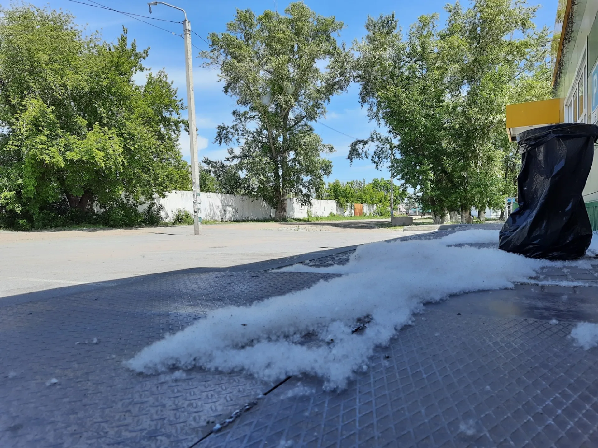 Барнаульцам напомнили о пожароопасности тополиного пуха Барнаульцам напомнили о пожароопасности тополиного пуха