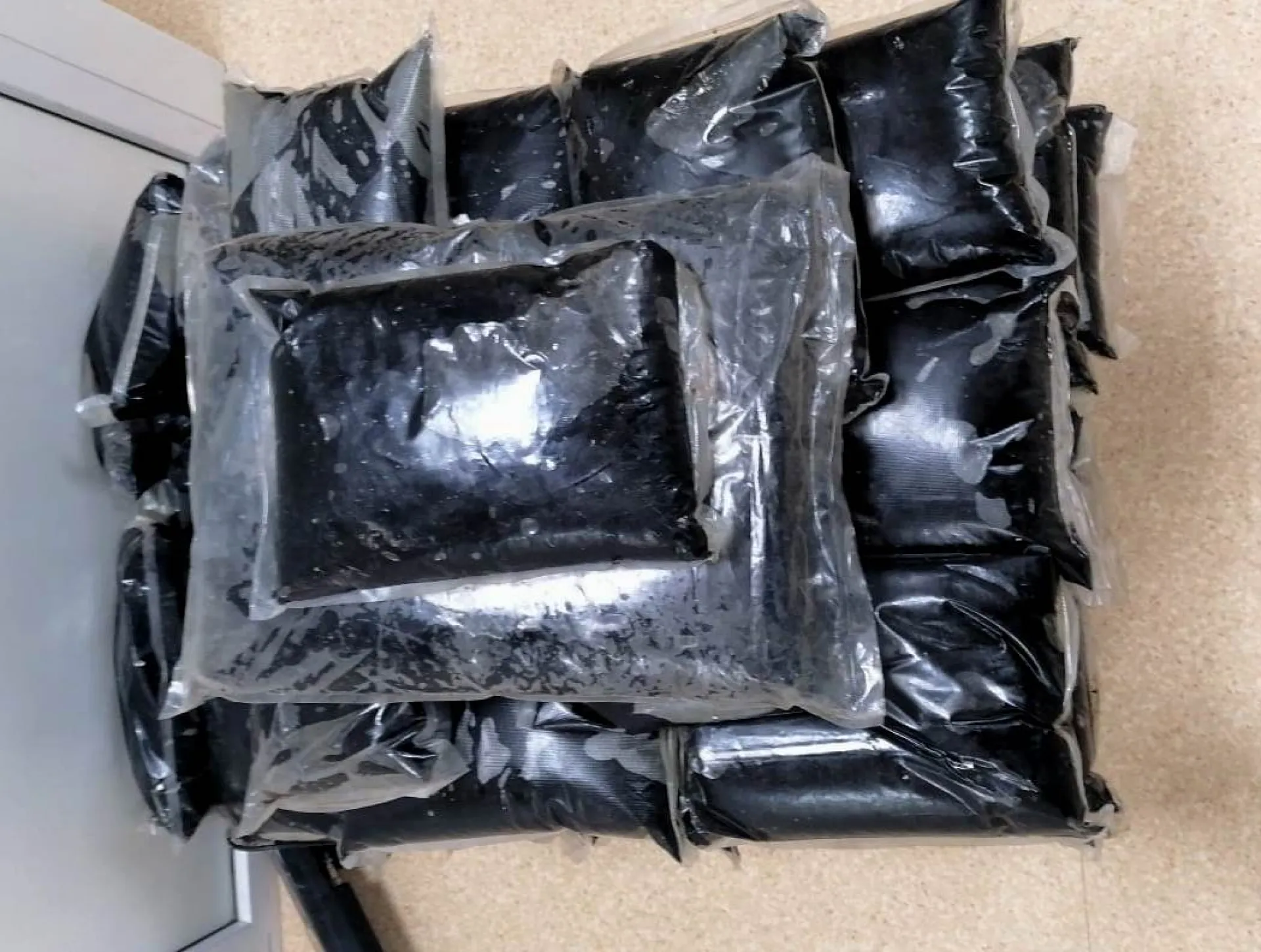 Почти 200 кг контрабандного мумие задержали алтайские таможенники