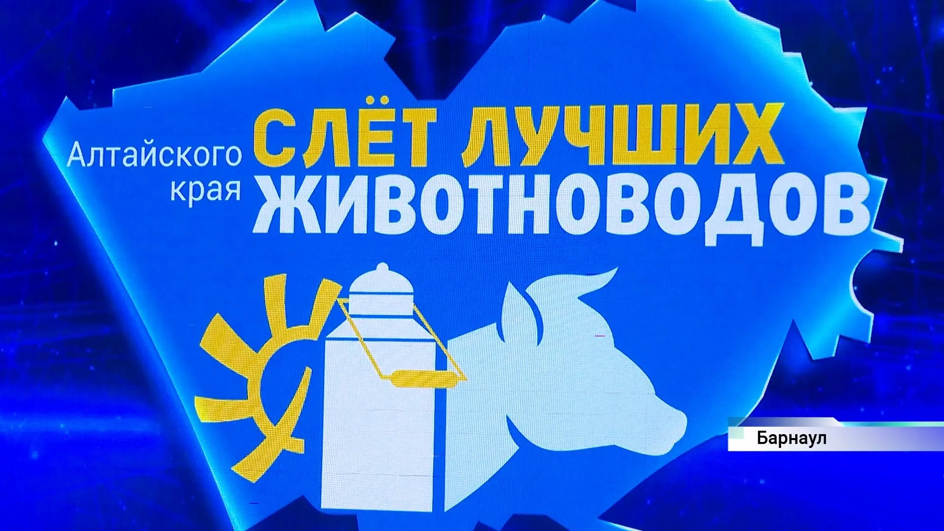 Три сотни специалистов со всего региона собрались на слете лучших животноводов Алтайского края Три сотни специалистов со всего региона собрались на слете лучших животноводов Алтайского края