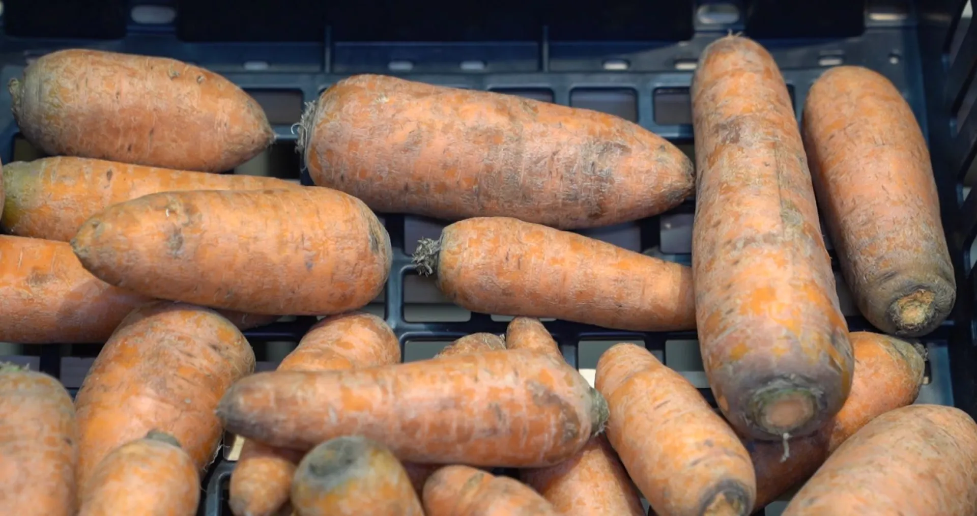 Более трех тонн продукции сети «Светофор» забраковали во время проверок в Алтайском крае Более трех тонн продукции сети «Светофор» забраковали во время проверок в Алтайском крае