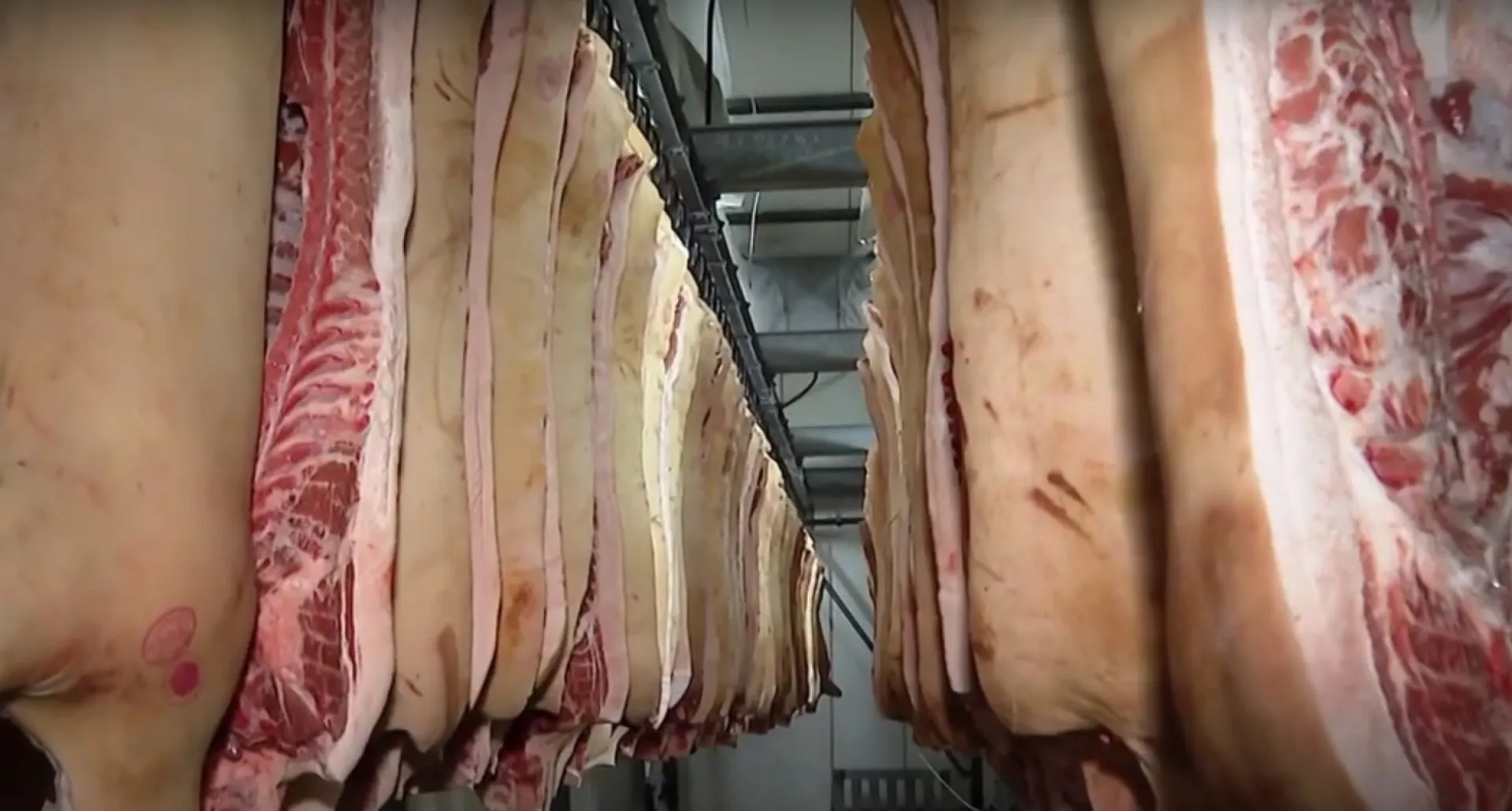 Почти 130 тысяч тонн мясных продуктов произвели в Алтайском крае Почти 130 тысяч тонн мясных продуктов произвели в Алтайском крае