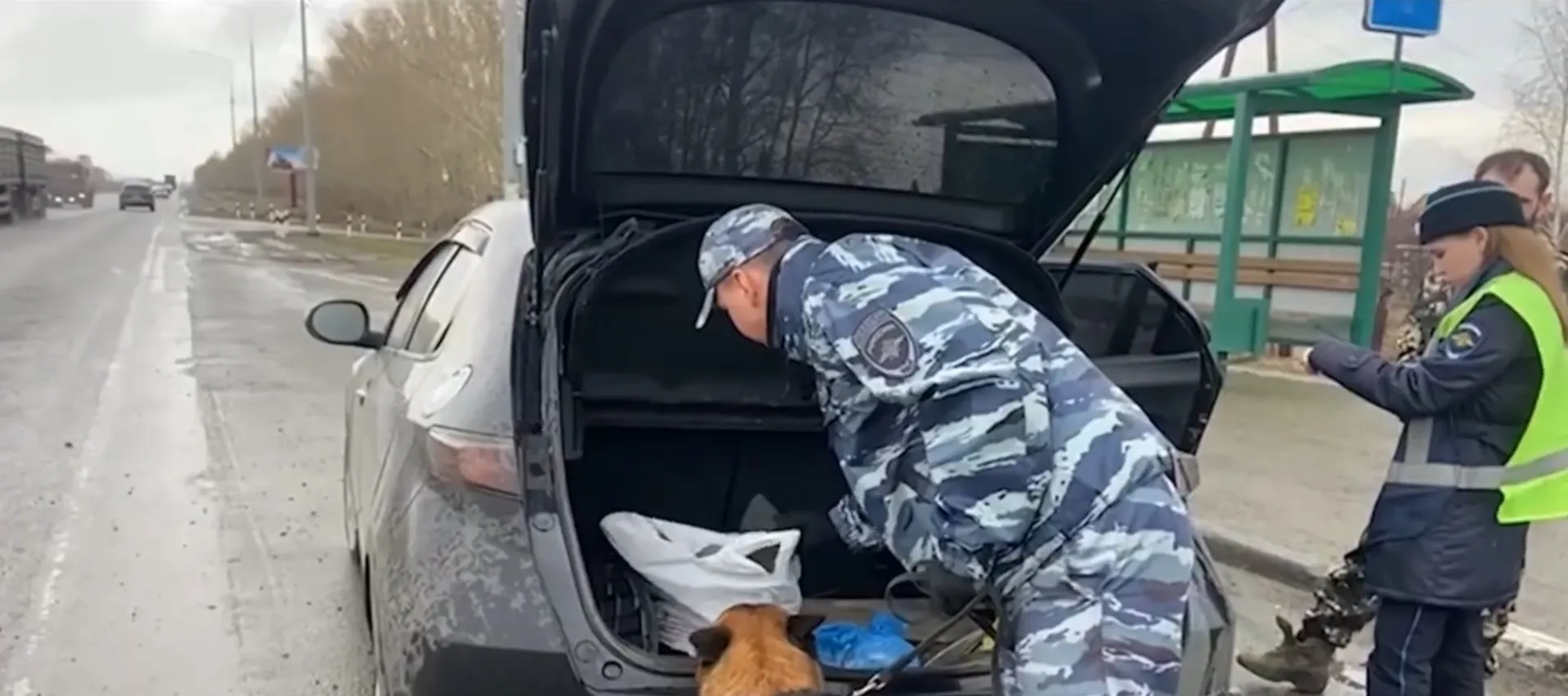 В Барнауле сотрудники Госавтоинспекции пресекли попытку сбыта наркотических средств в крупном размере В Барнауле сотрудники Госавтоинспекции пресекли попытку сбыта наркотических средств в крупном размере
