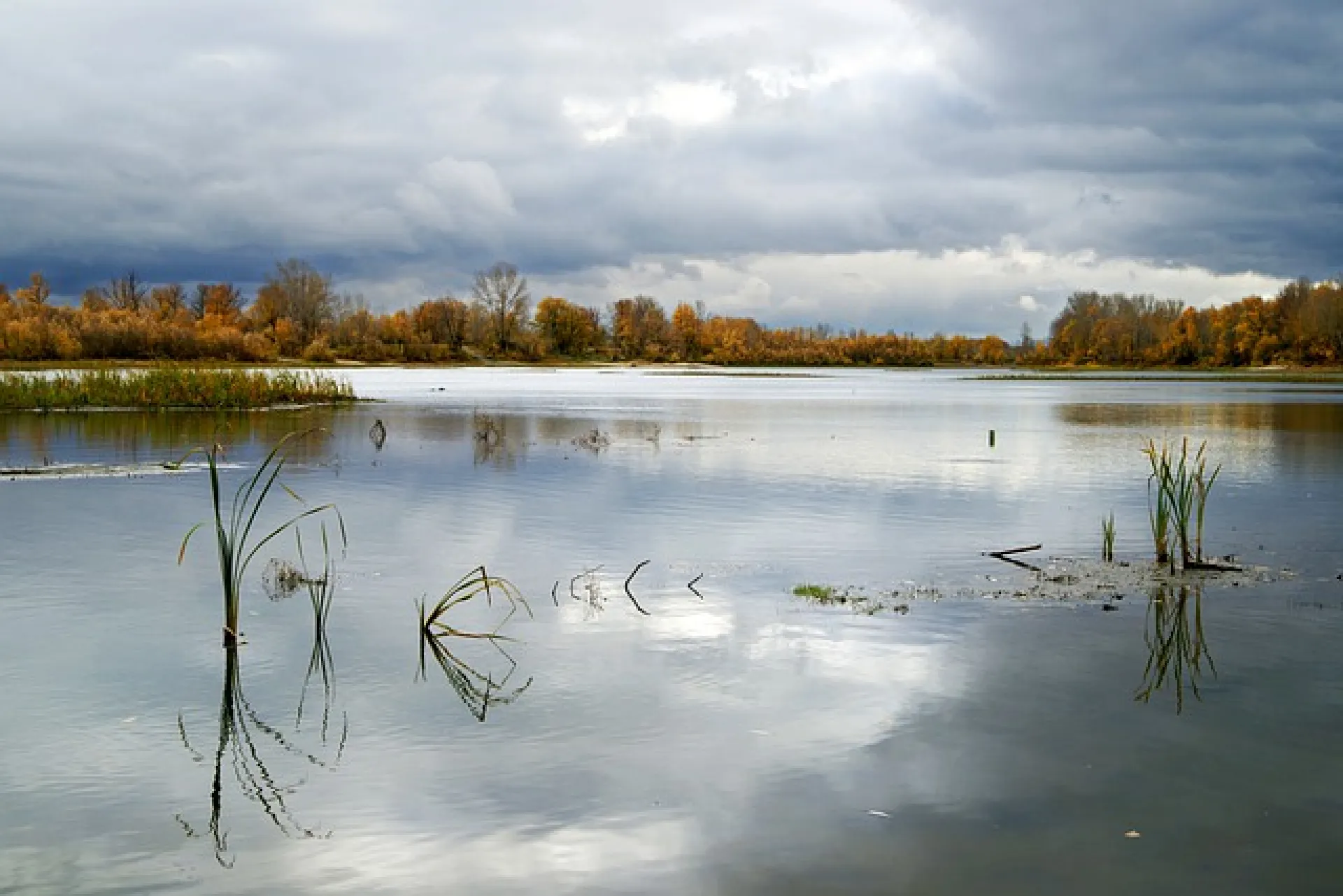 В реках Алтайского края зафиксировали снижение уровня воды В реках Алтайского края зафиксировали снижение уровня воды