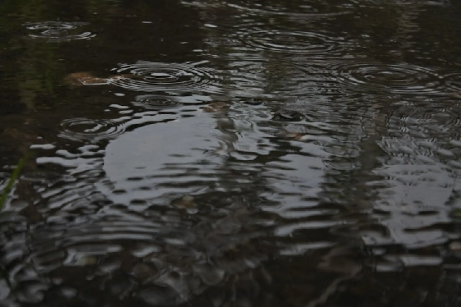 Что делать, если вас окатили водой из лужи, рассказали в Госавтоинспекции Барнаула Что делать, если вас окатили водой из лужи, рассказали в Госавтоинспекции Барнаула