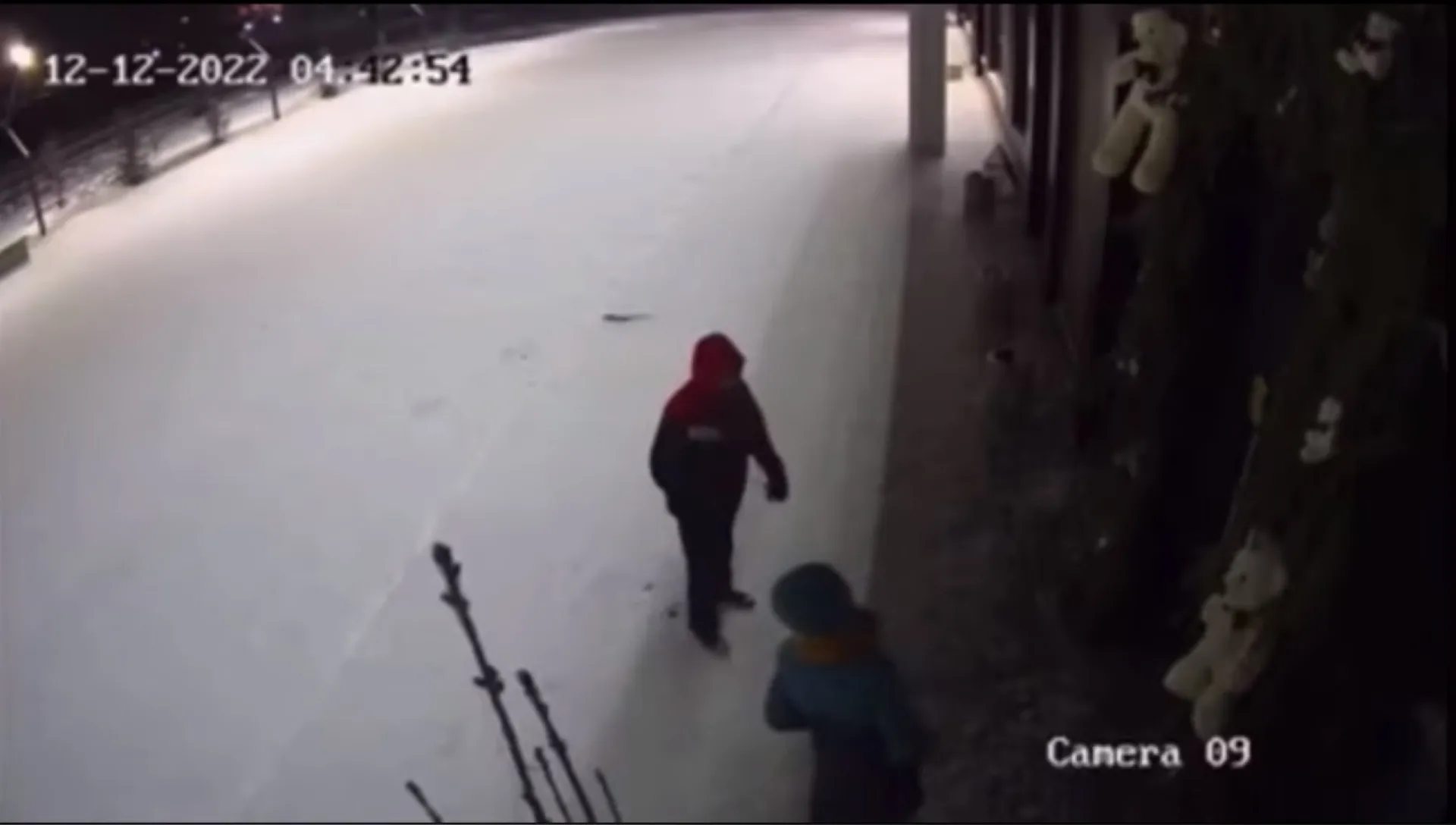 Двое людей украли игрушку медвежонка в Барнауле Двое людей украли игрушку медвежонка в Барнауле
