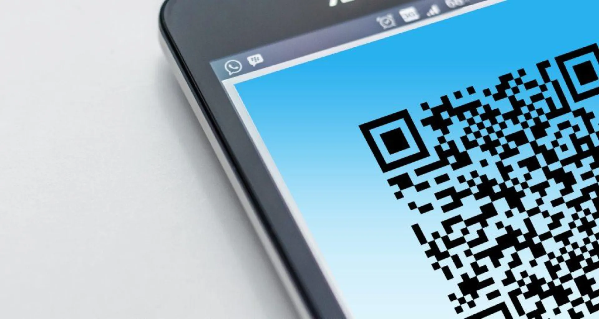 Треть жителей Алтайского края поддерживают введение QR-кодов в регионе Треть жителей Алтайского края поддерживают введение QR-кодов в регионе