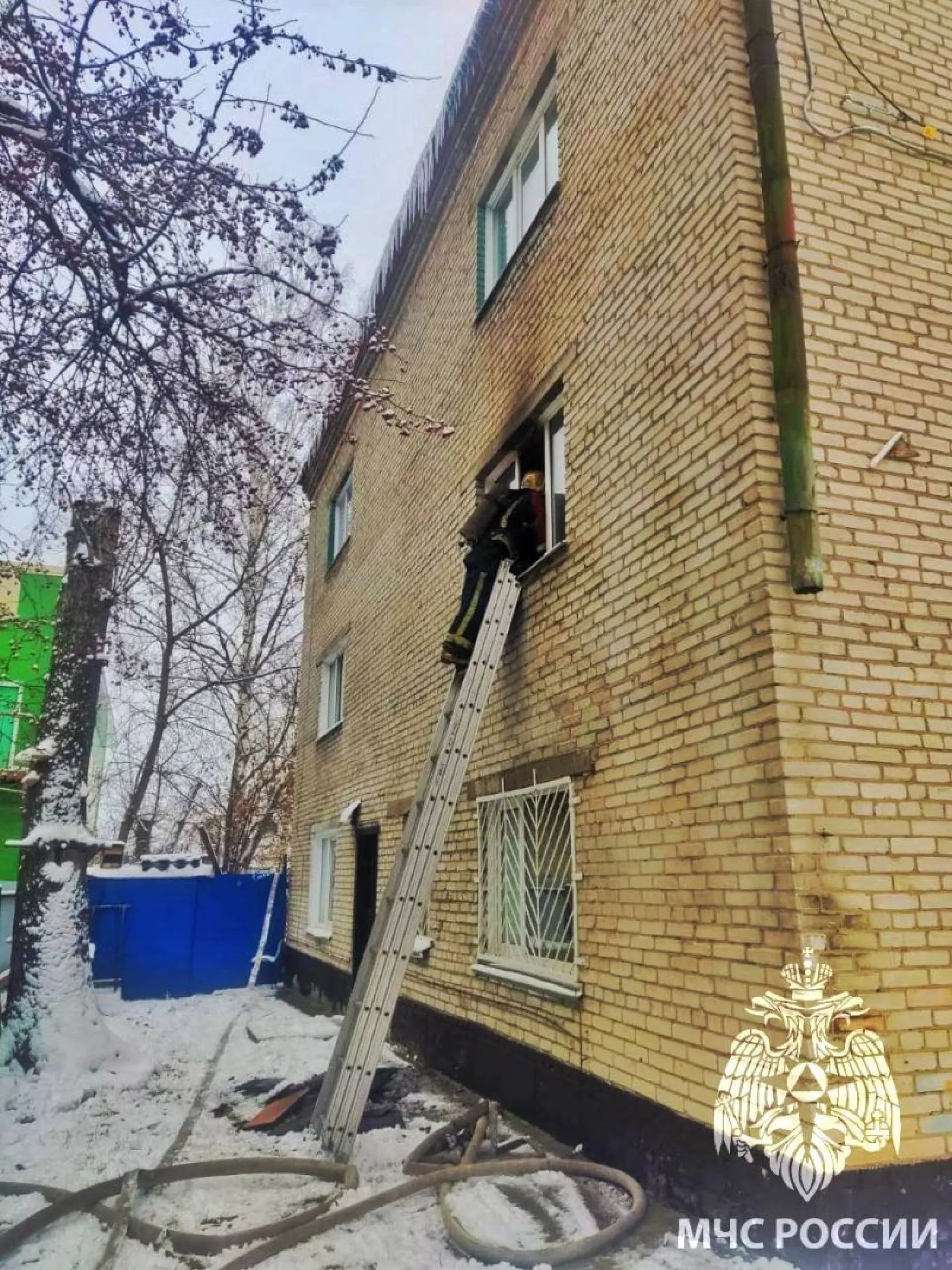 Пожарные Барнаула спасли 7 человек из горящего дома Пожарные Барнаула спасли 7 человек из горящего дома