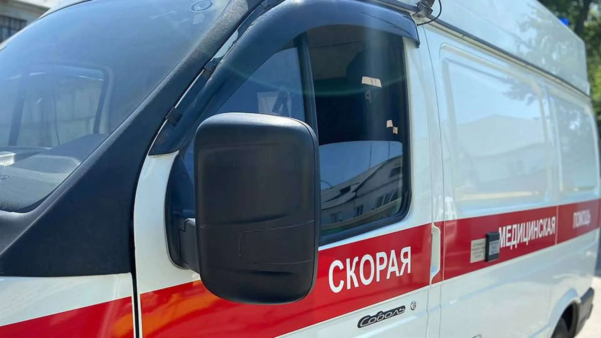 В Бийске алабай набросился на подростка В Бийске алабай набросился на подростка