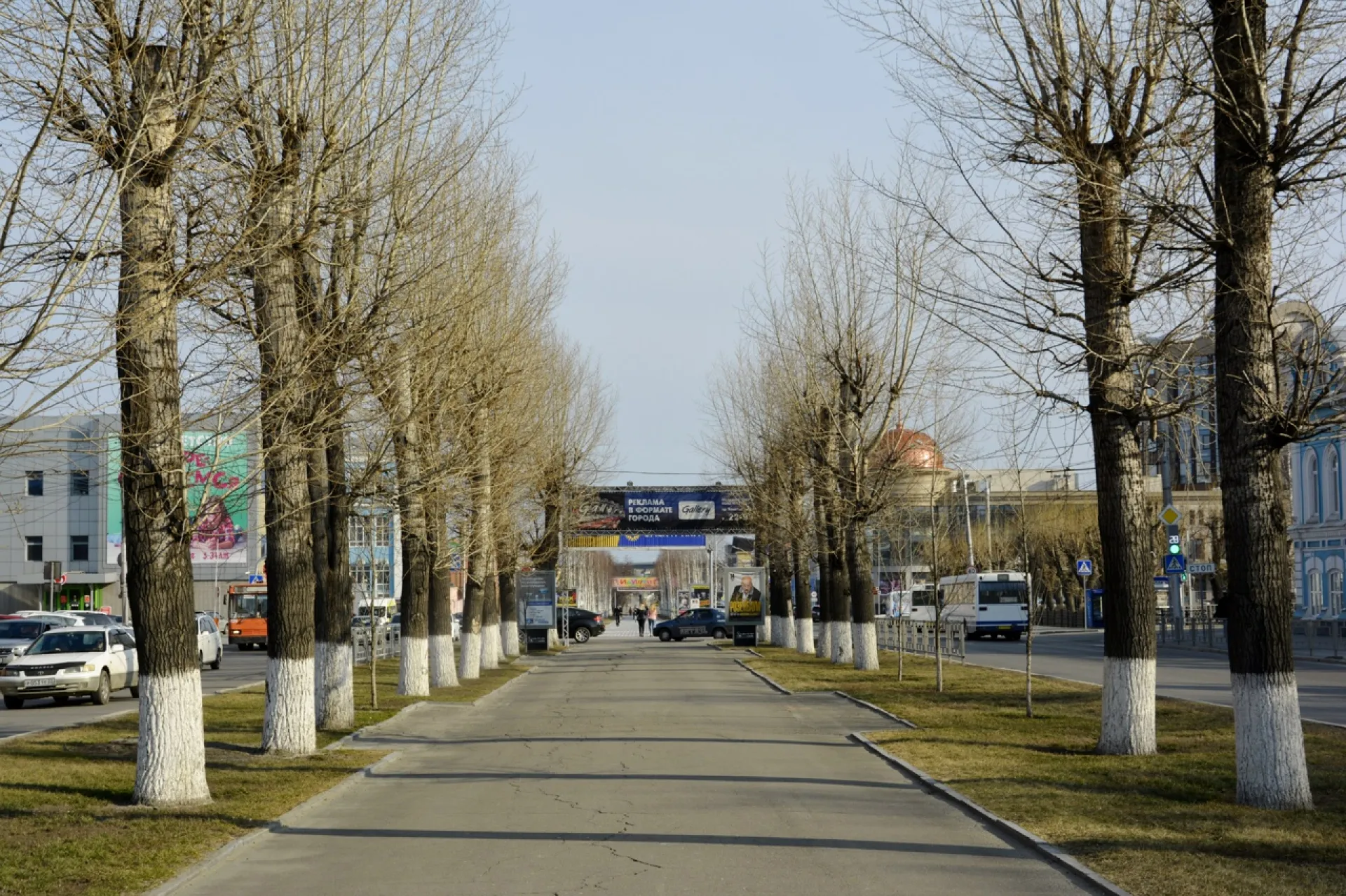 Более 860 деревьев и кустарников высадят в 2022 году в Барнауле Более 860 деревьев и кустарников высадят в 2022 году в Барнауле