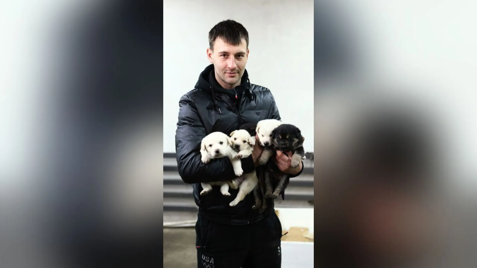 Сибиряк спас щенков от смерти