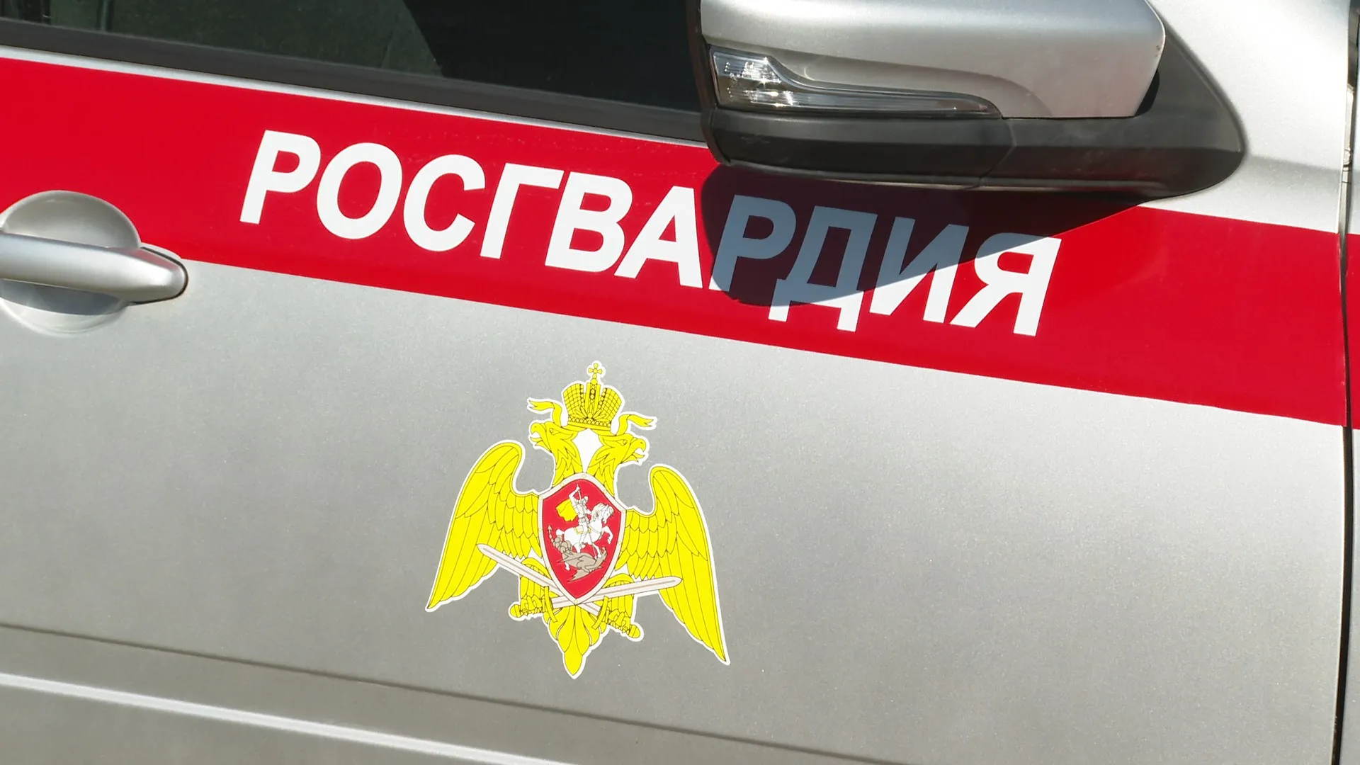 Росгвардейцы защитили медиков от агрессивной бийчанки Росгвардейцы защитили медиков от агрессивной бийчанки