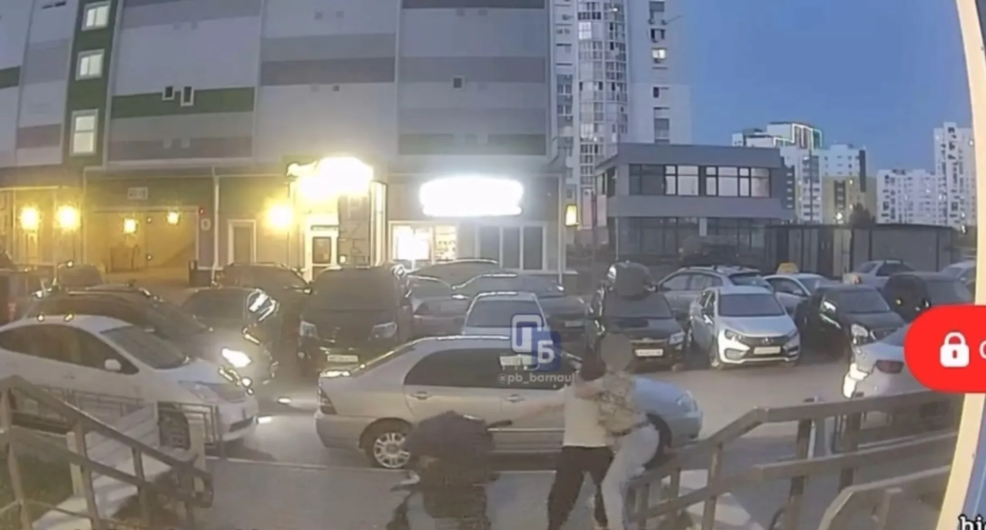 Прокуратура проводит проверку по факту нападения на женщину с младенцем в Барнауле Прокуратура проводит проверку по факту нападения на женщину с младенцем в Барнауле