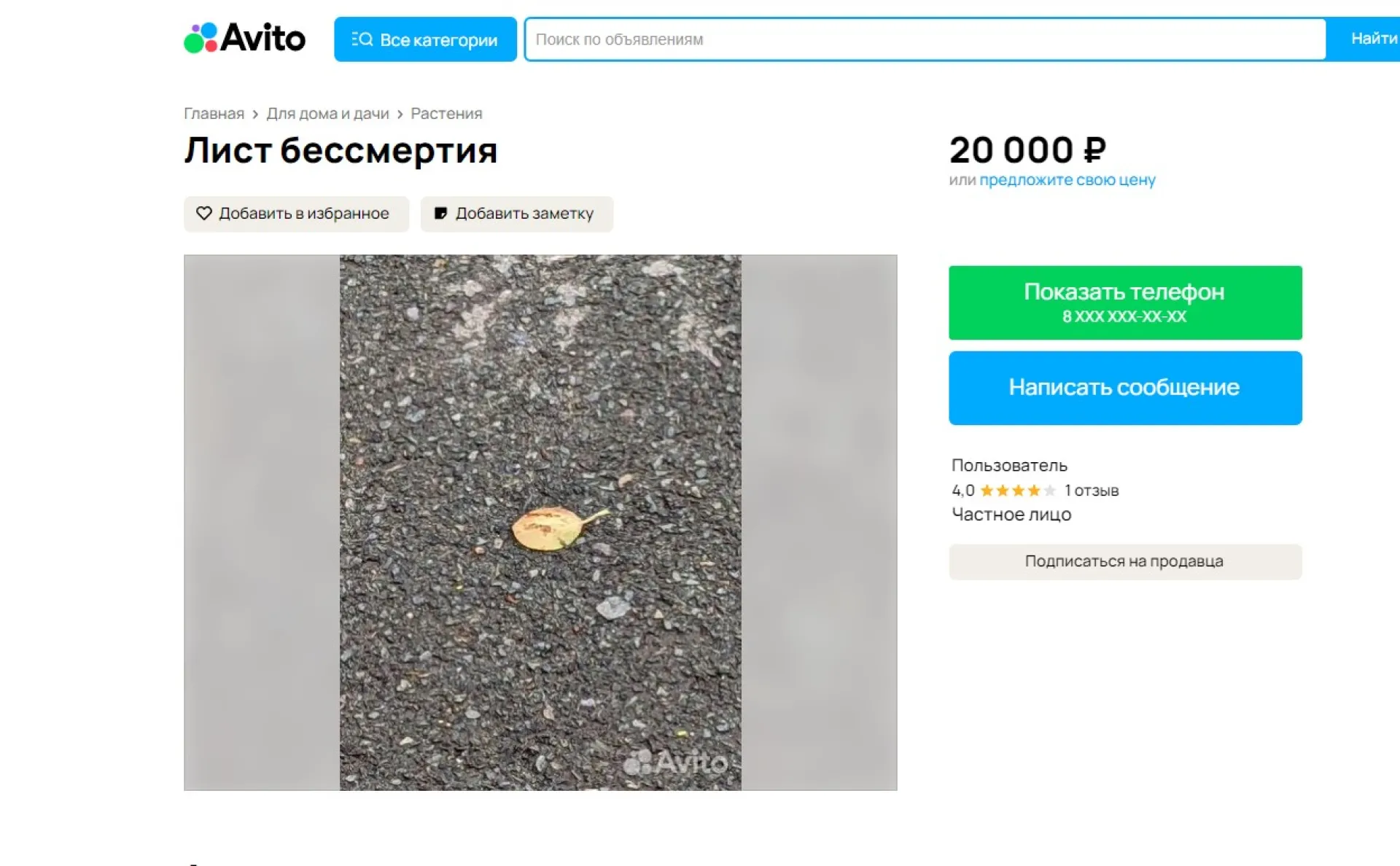 Лист бессмертия продают в Барнауле Лист бессмертия продают в Барнауле