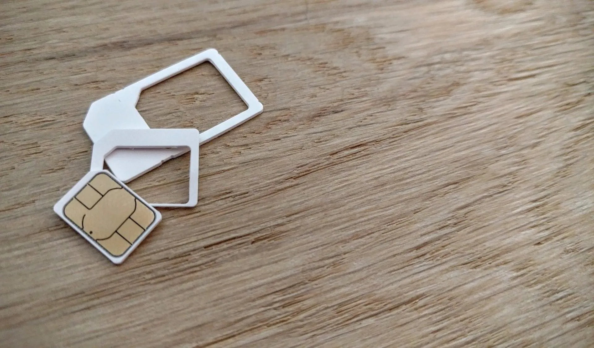 Перепись всех SIM-карт предложили провести в России Перепись всех SIM-карт предложили провести в России