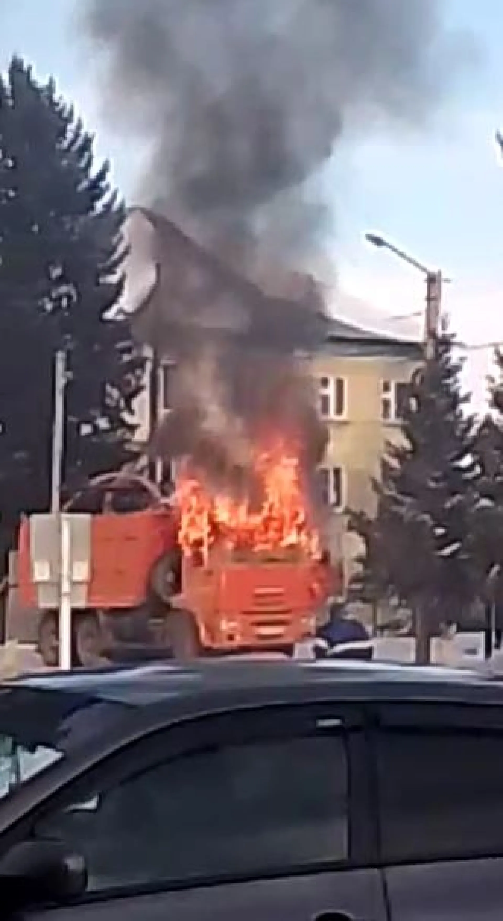 Грузовой автомобиль загорелся в селе Алтайского края Грузовой автомобиль загорелся в селе Алтайского края