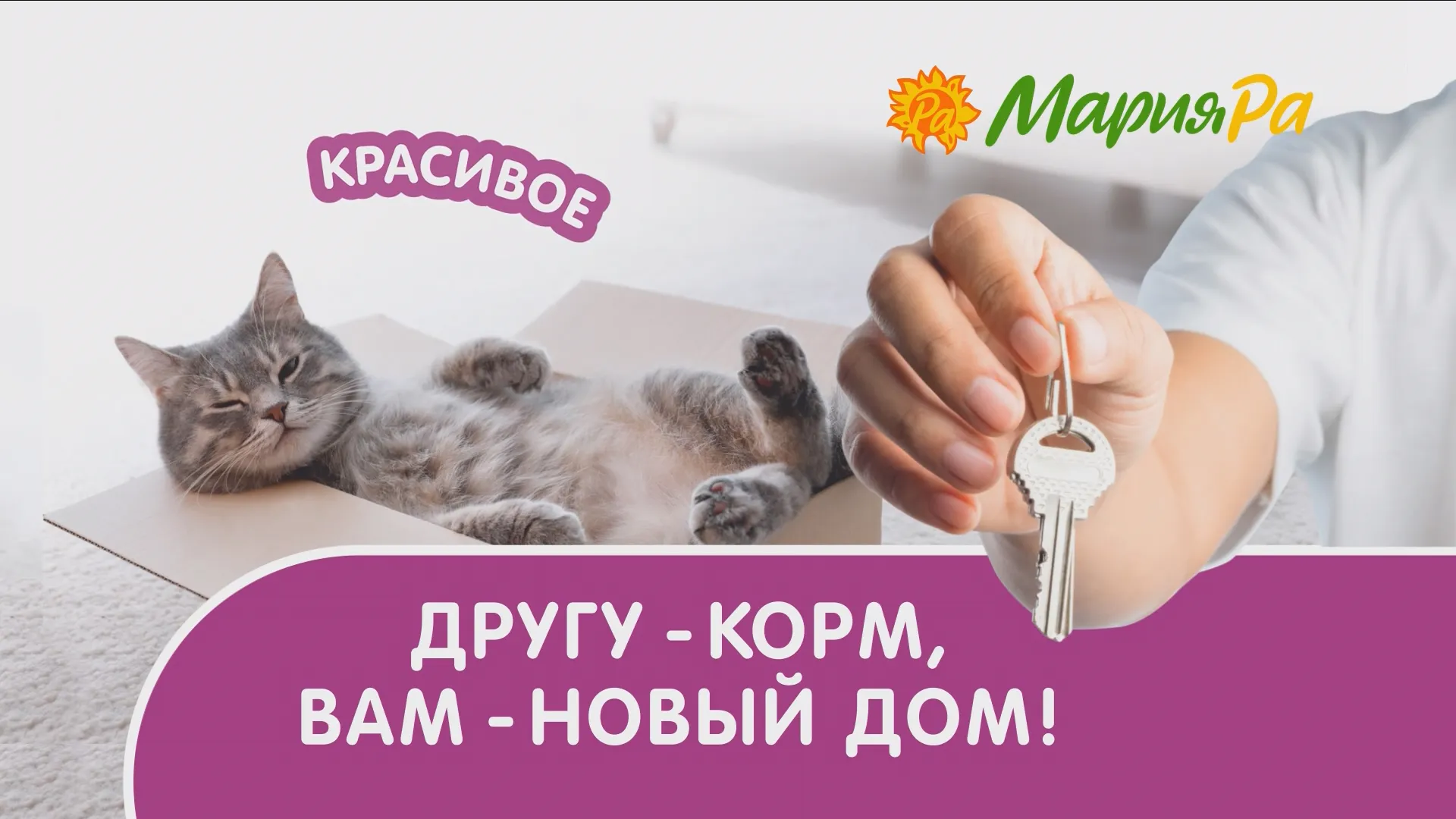 Прямая трансляция розыгрыша призов от компании «Мария-Ра» Прямая трансляция розыгрыша призов от компании «Мария-Ра»
