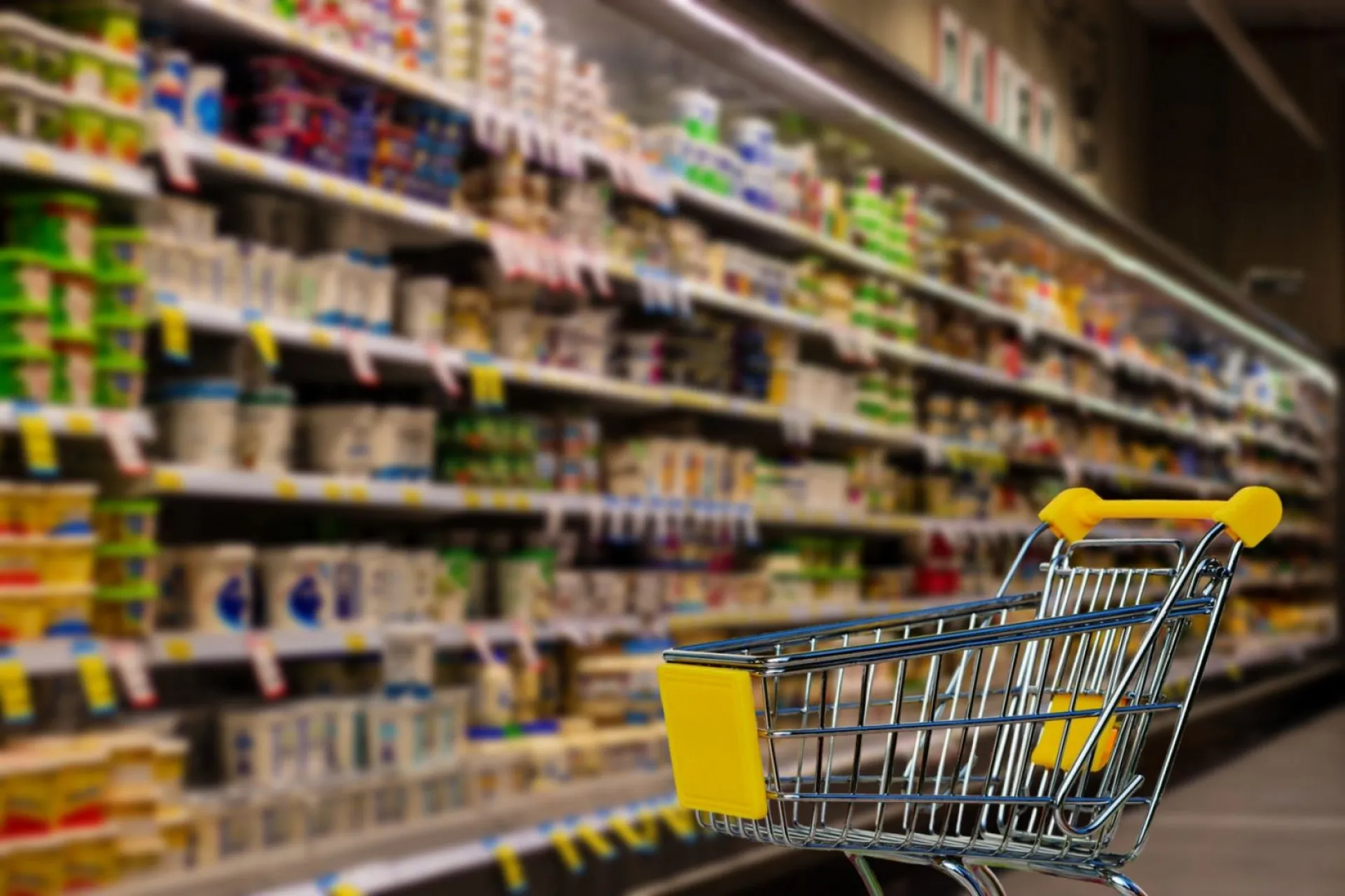 В Алтайском крае социально значимые продукты стали дешевле В Алтайском крае социально значимые продукты стали дешевле