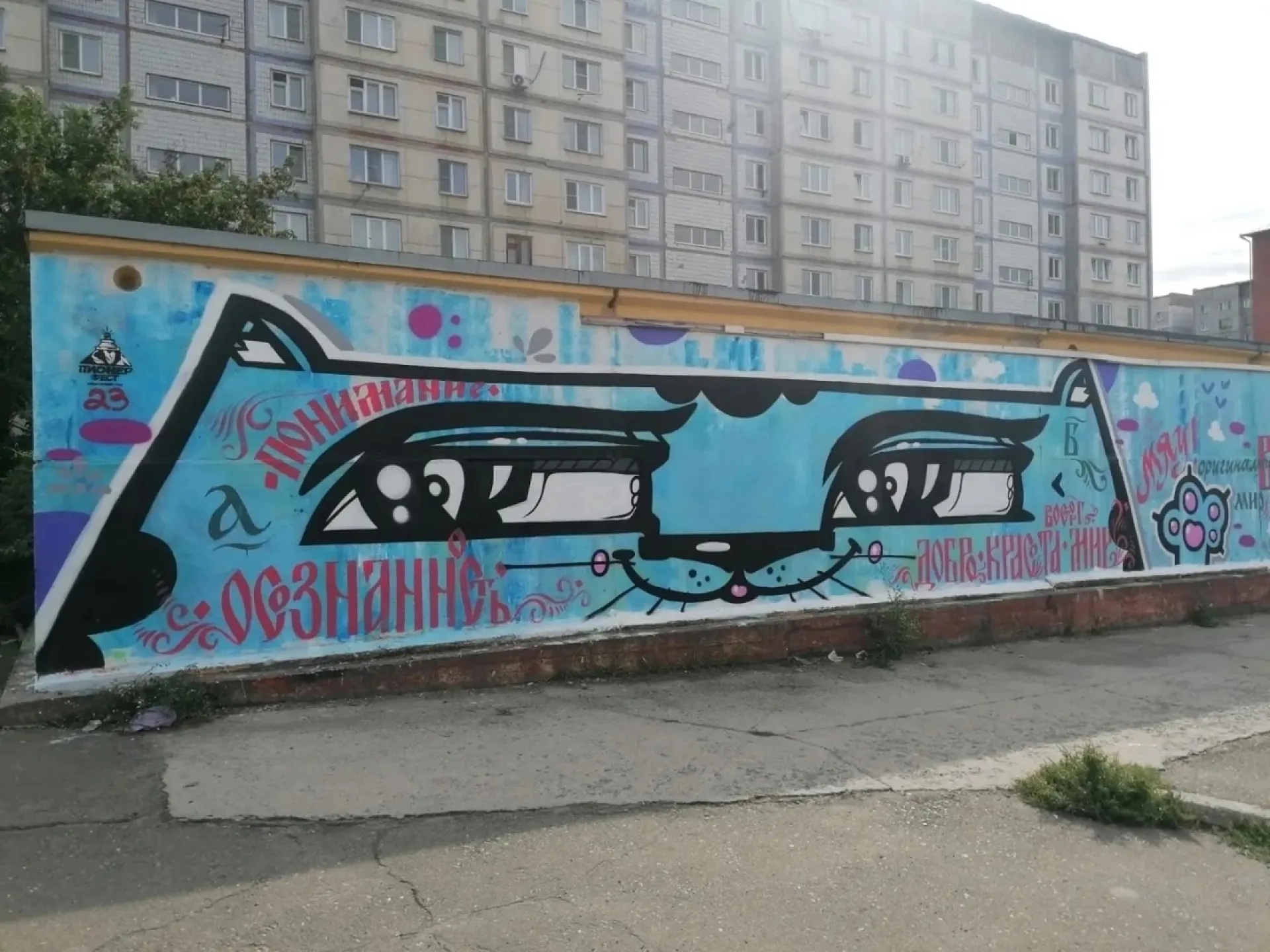 Новые граффити появились в Бийске Новые граффити появились в Бийске