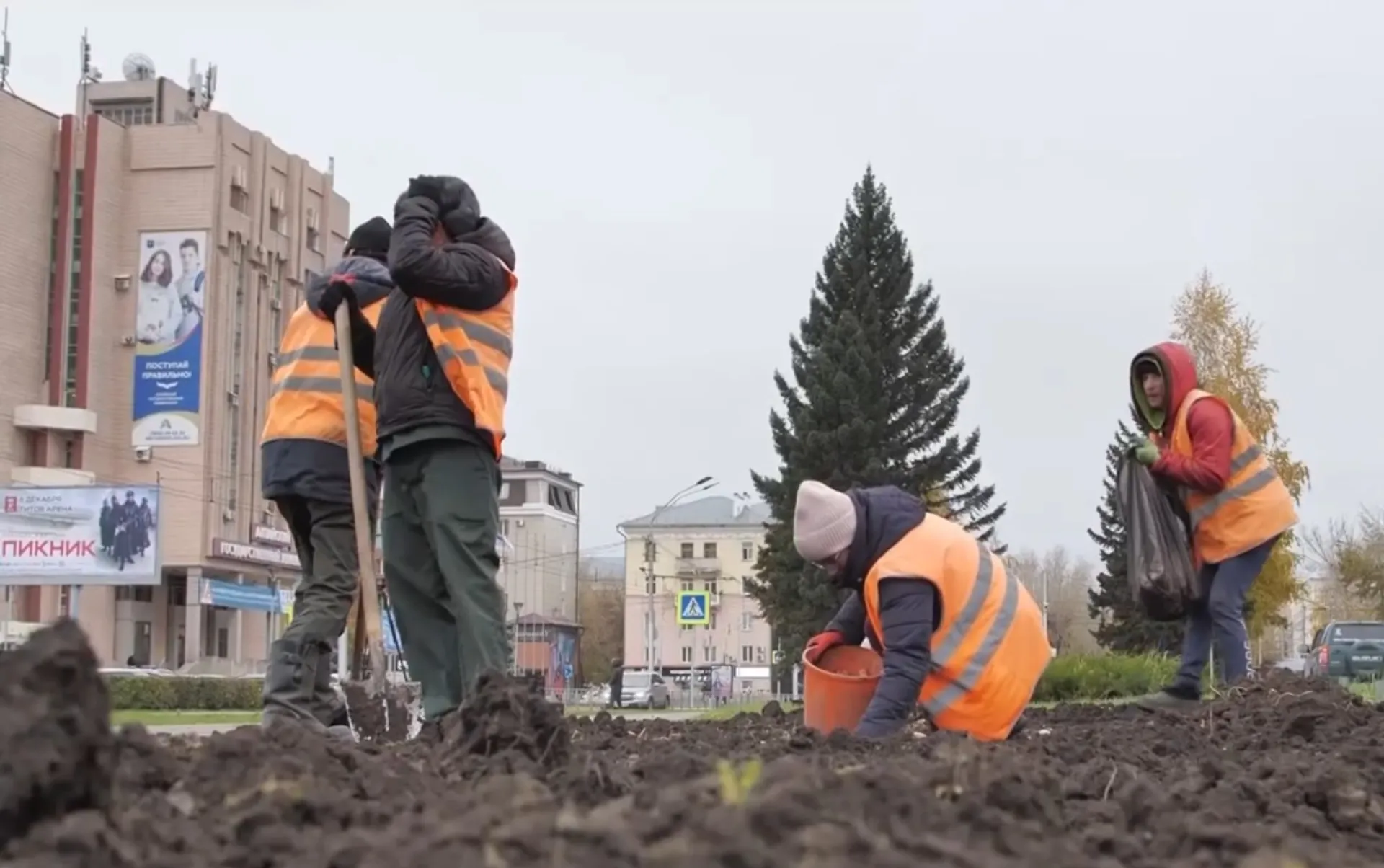 75 тысяч тюльпанов высадят в Барнауле 75 тысяч тюльпанов высадят в Барнауле