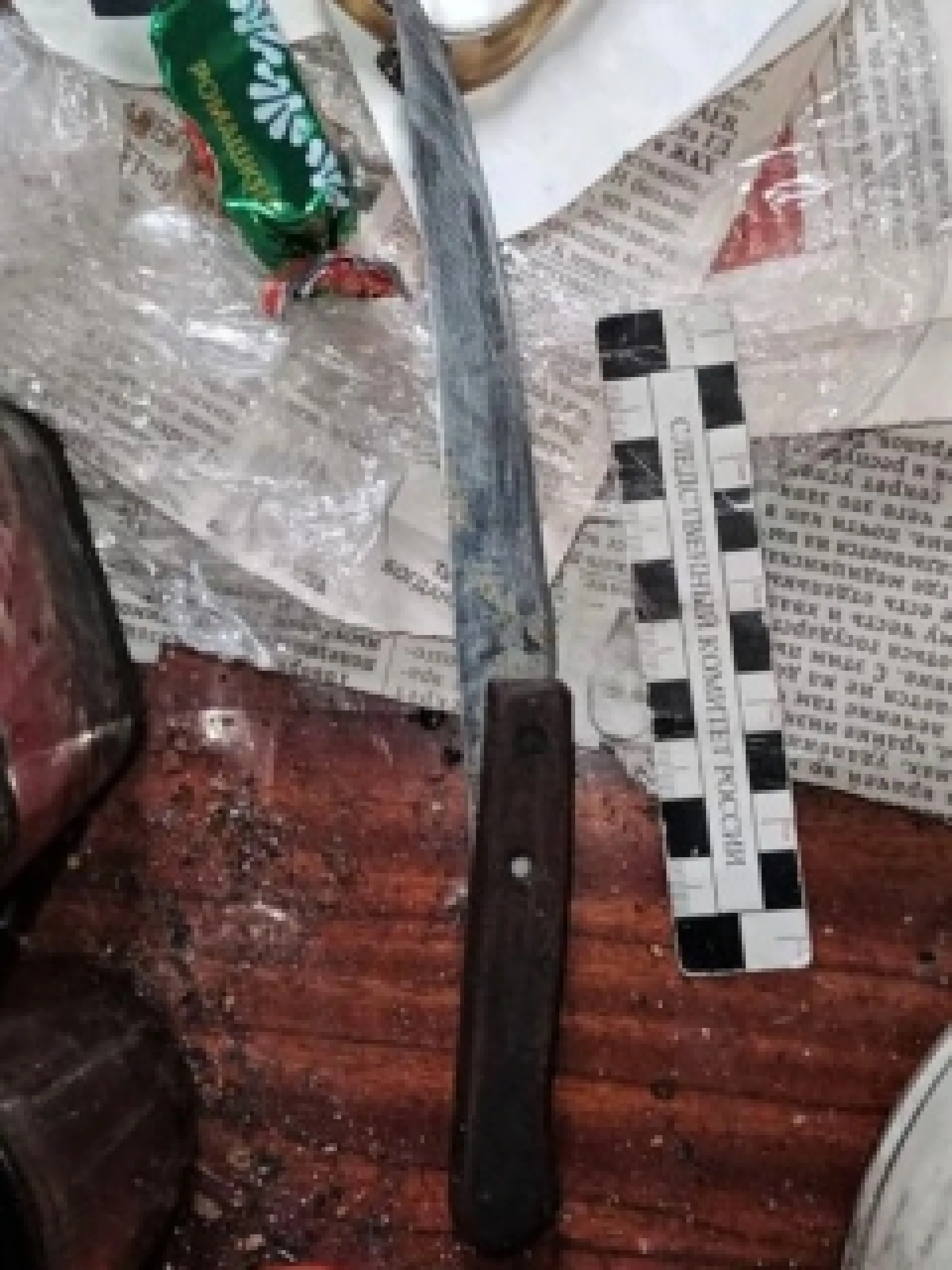 Смертоносного сельчанина заключили под стражу в Алтайском крае Смертоносного сельчанина заключили под стражу в Алтайском крае