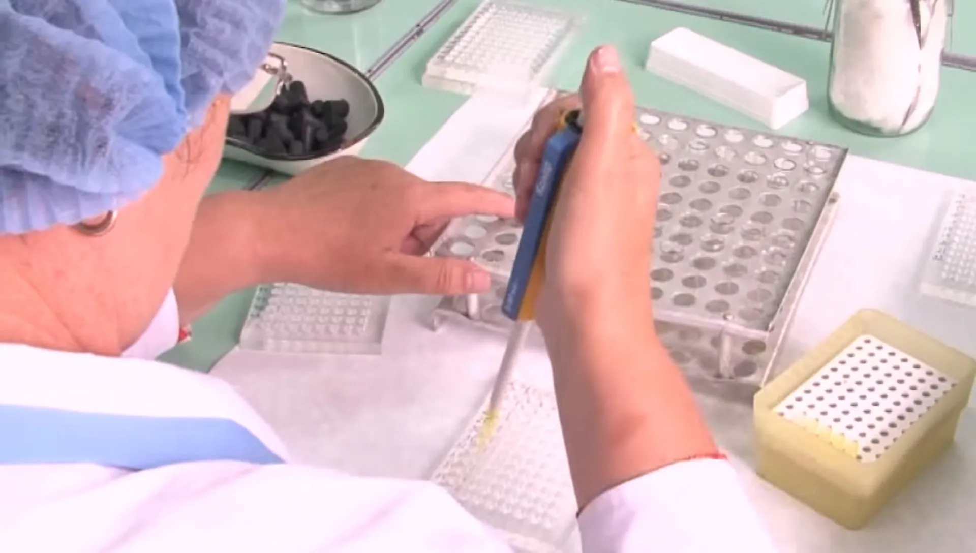 Первые случаи присасывания клещей регистрируют в Алтайском крае Первые случаи присасывания клещей регистрируют в Алтайском крае