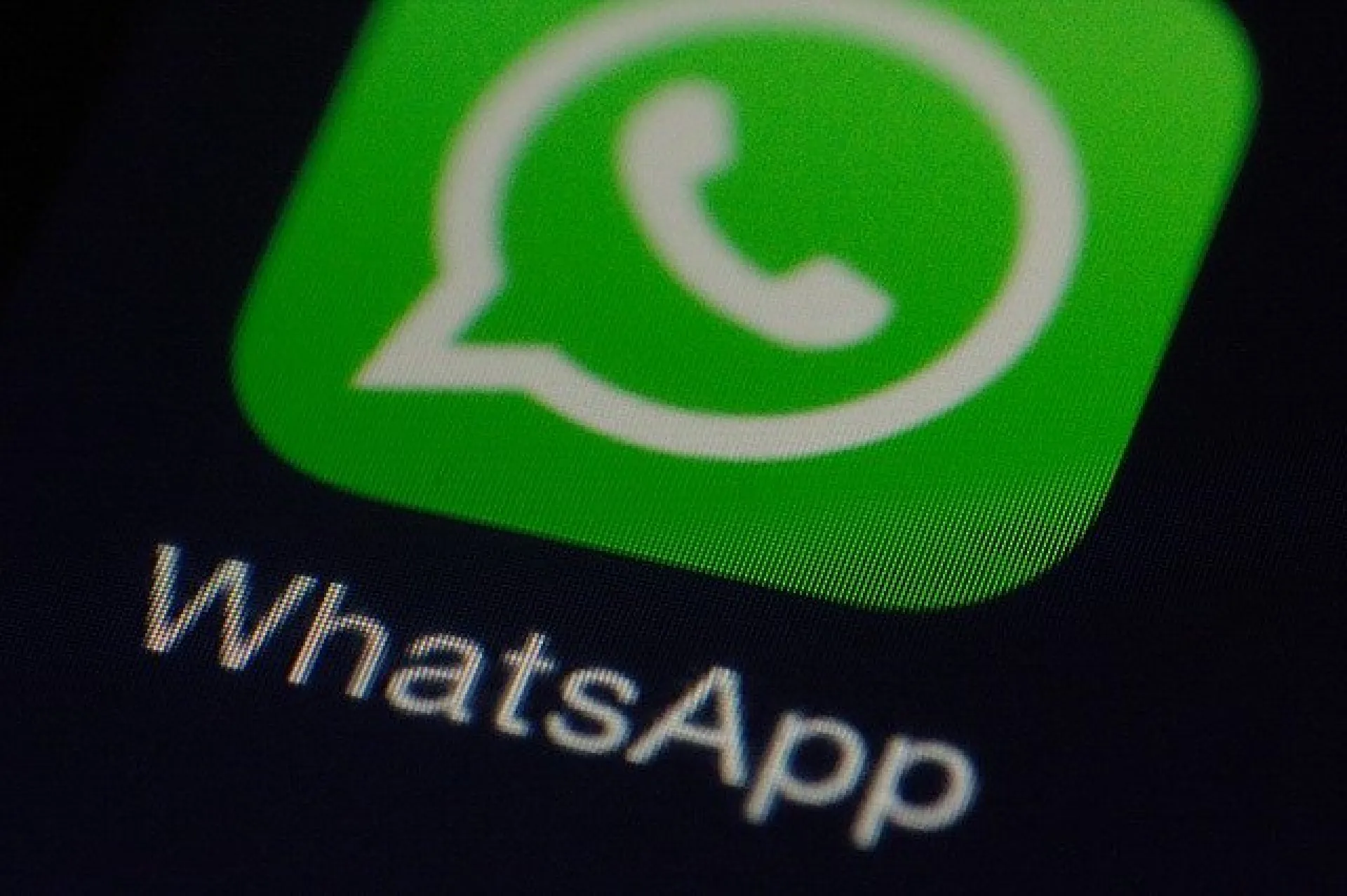 Как сохранить переписки из WhatsApp Как сохранить переписки из WhatsApp