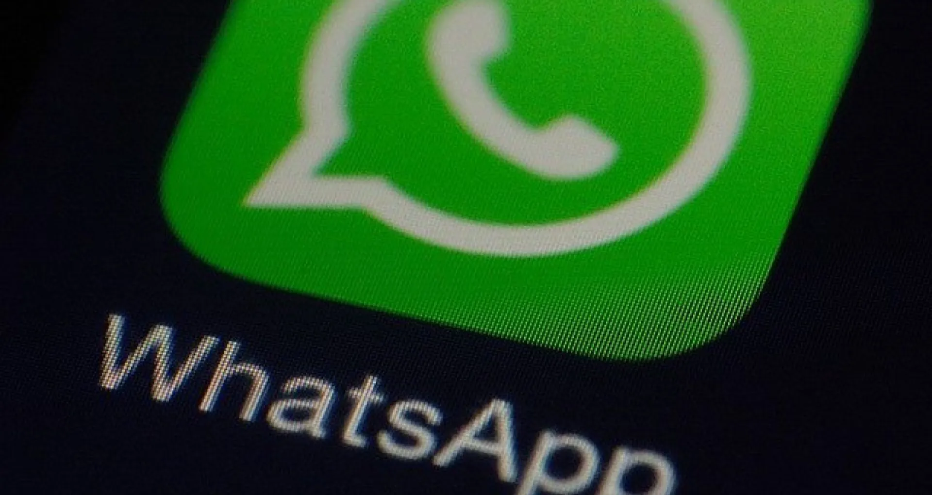 Как сохранить переписки из WhatsApp Как сохранить переписки из WhatsApp
