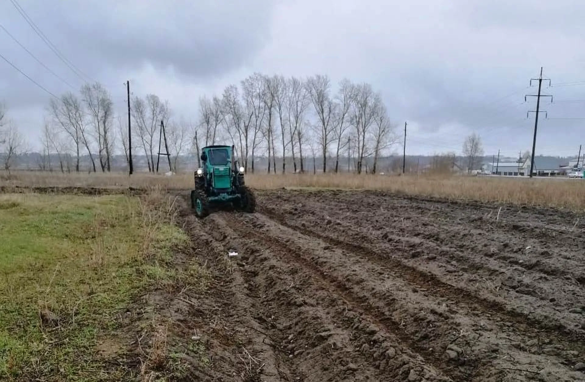 В пригородных поселках Барнаула появятся противопожарные полосы В пригородных поселках Барнаула появятся противопожарные полосы