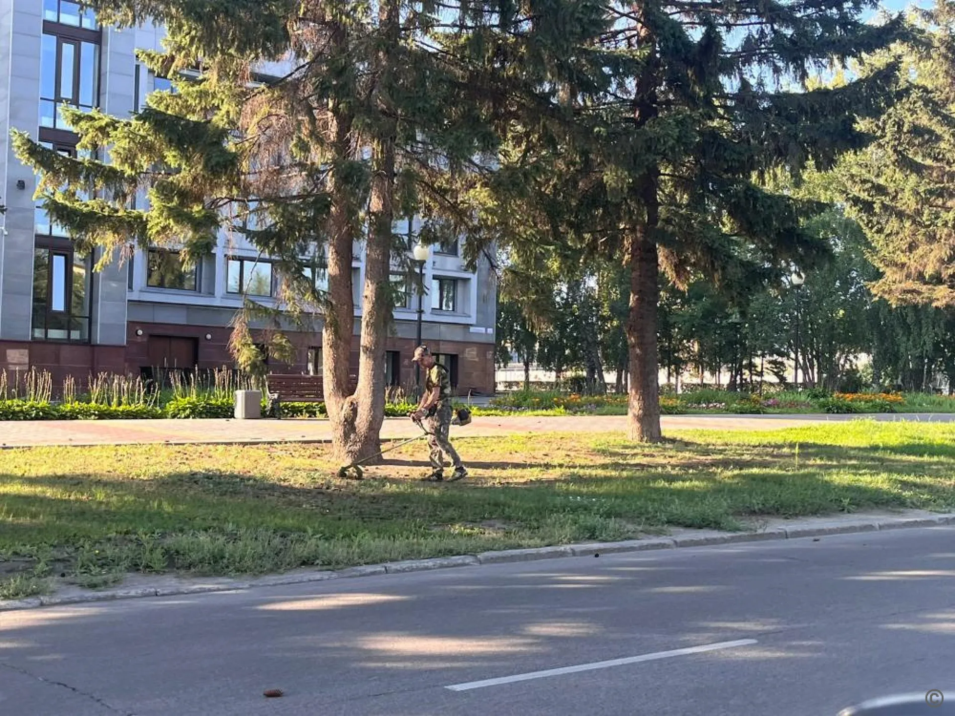 Покос травы и благоустройство территорий продолжается в Барнауле Покос травы и благоустройство территорий продолжается в Барнауле