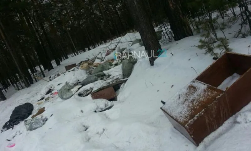 Соцсети: очередная свалка появилась в барнаульском лесу