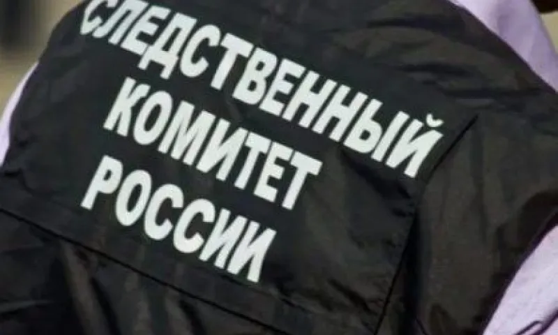 Следственный комитет начал проверку по факту незаконного изъятия ребёнка у жительницы Барнаула
